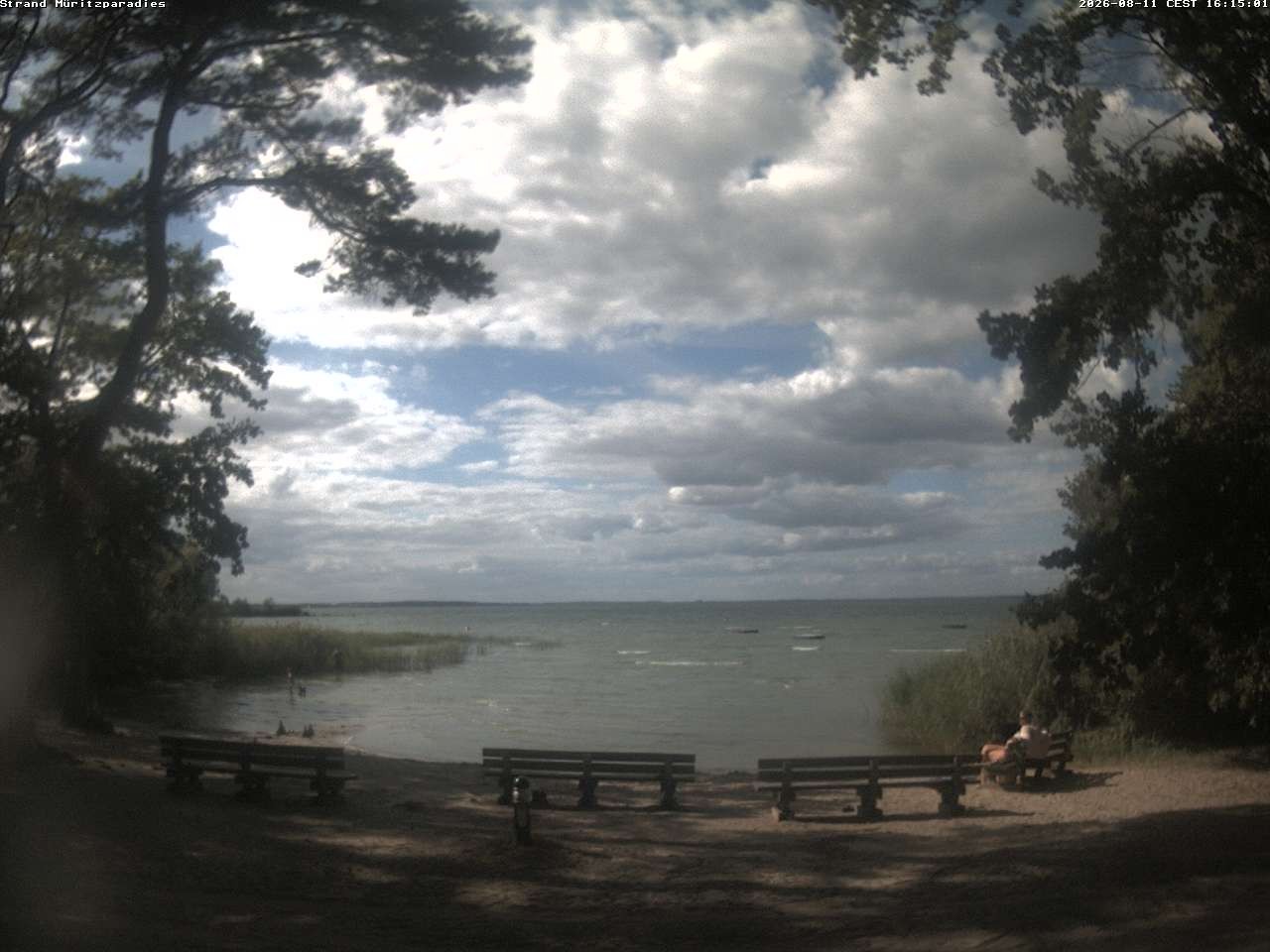 Archiv Foto Webcam Boek an der Müritz - Ostufer