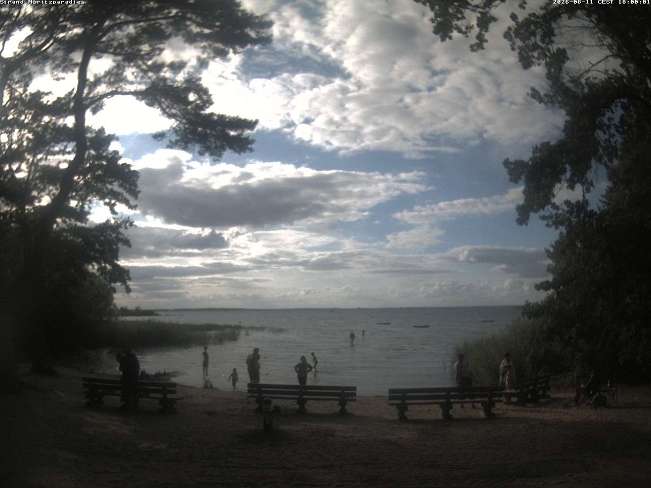 Archiv Foto Webcam Boek an der Müritz - Ostufer