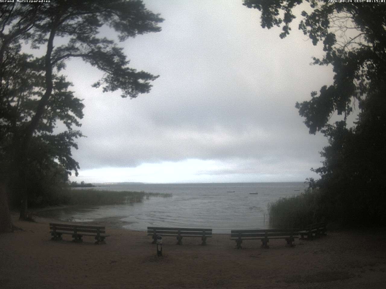 Archiv Foto Webcam Boek an der Müritz - Ostufer