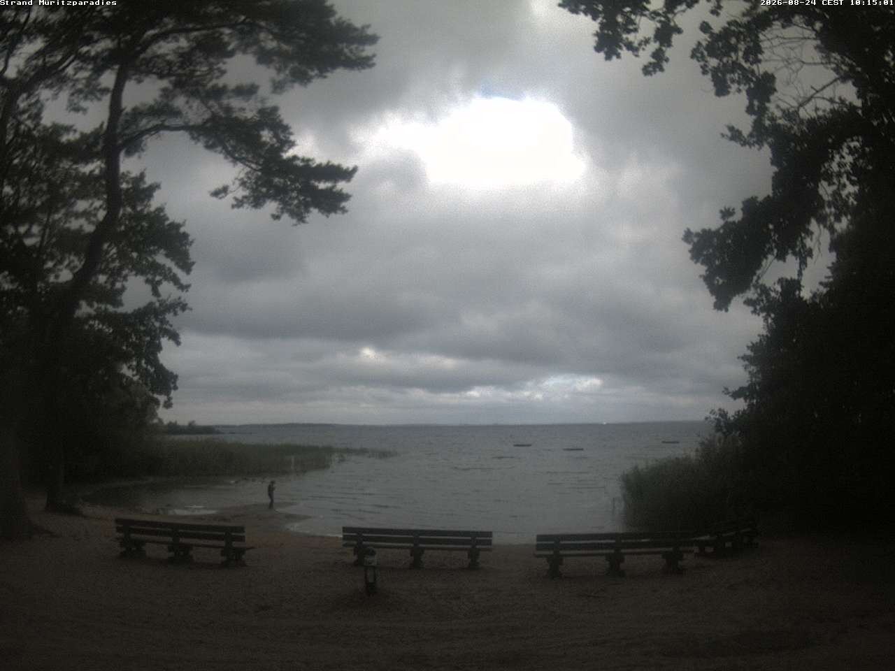Archiv Foto Webcam Boek an der Müritz - Ostufer