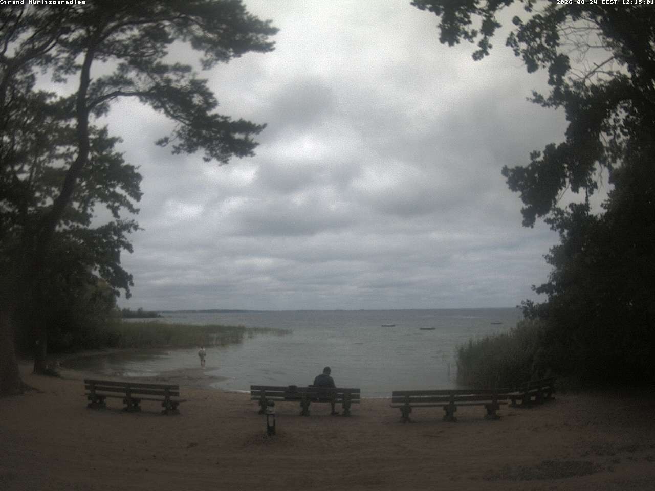 Archiv Foto Webcam Boek an der Müritz - Ostufer