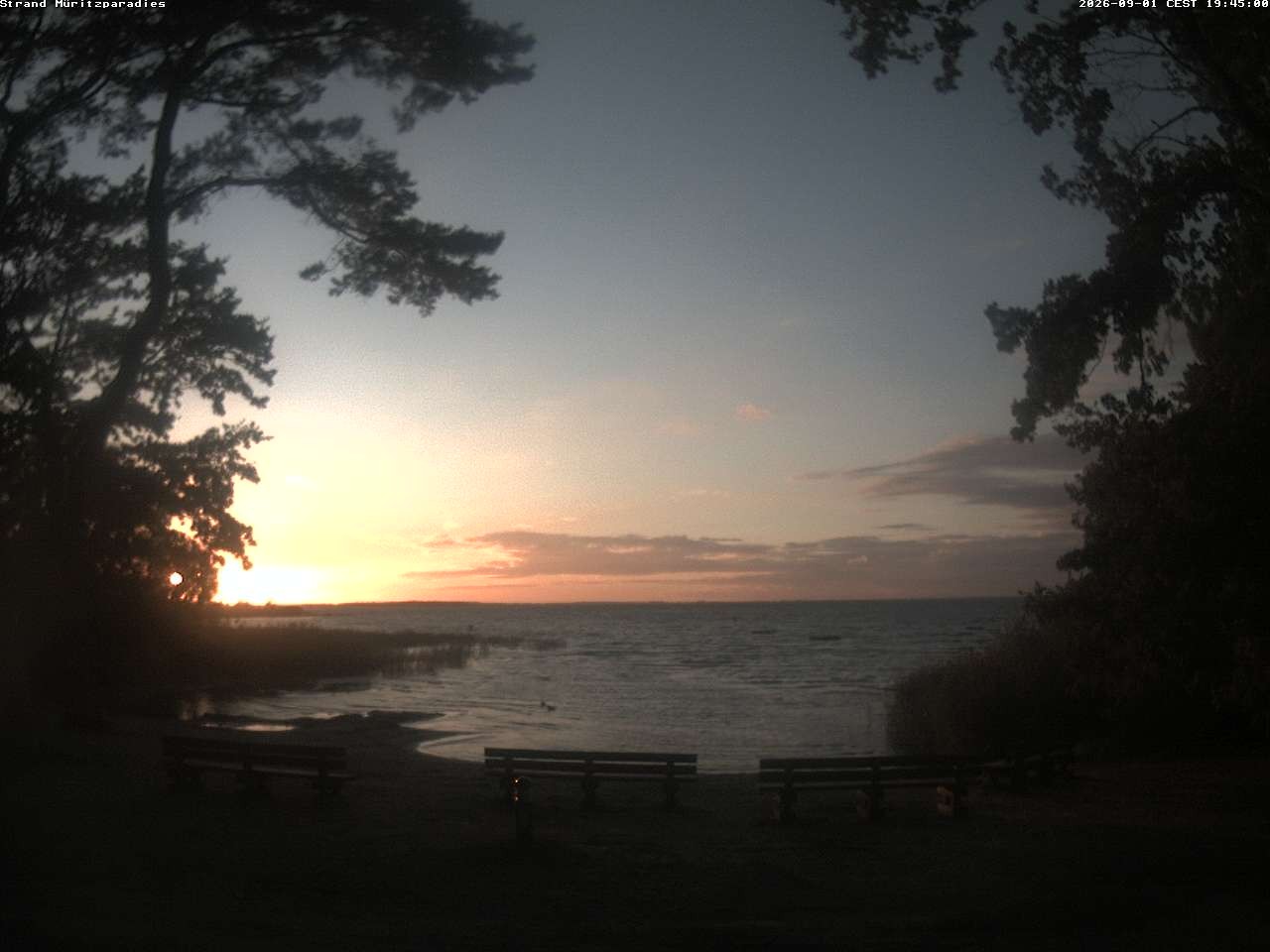 Archiv Foto Webcam Boek an der Müritz - Ostufer