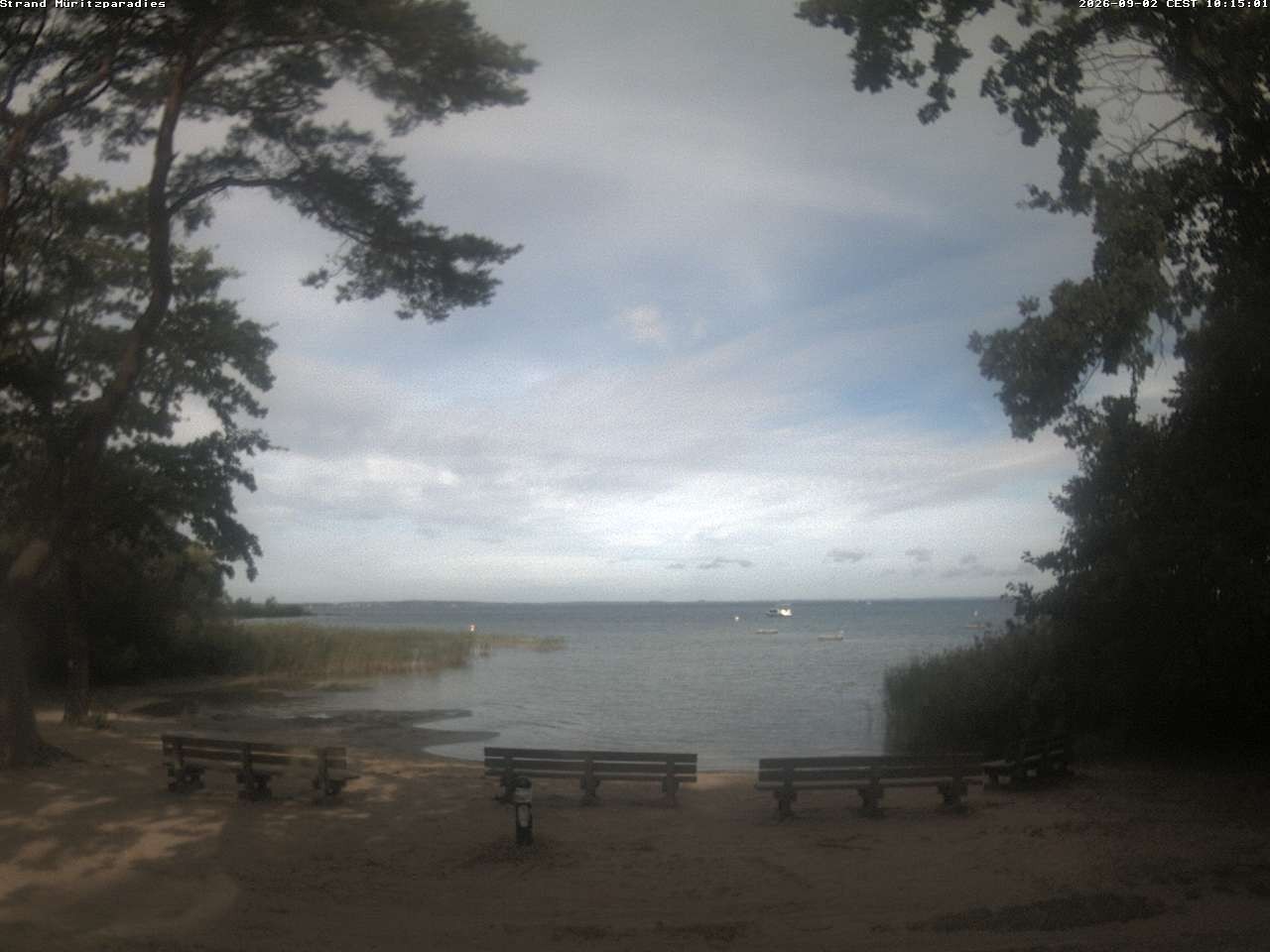 Archiv Foto Webcam Boek an der Müritz - Ostufer