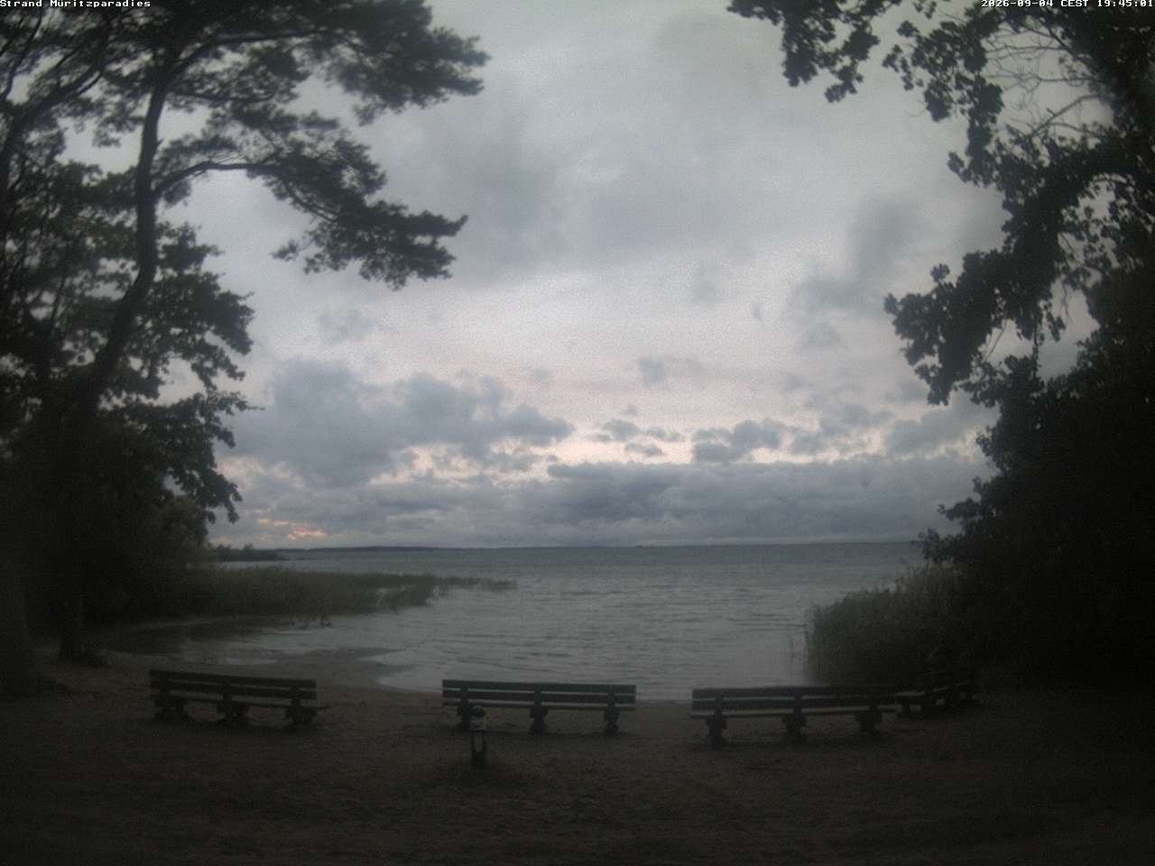 Archiv Foto Webcam Boek an der Müritz - Ostufer