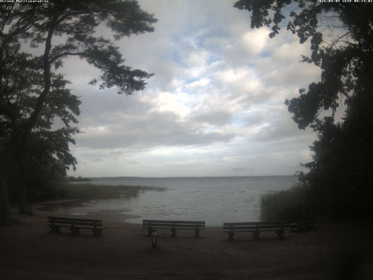 Archiv Foto Webcam Boek an der Müritz - Ostufer
