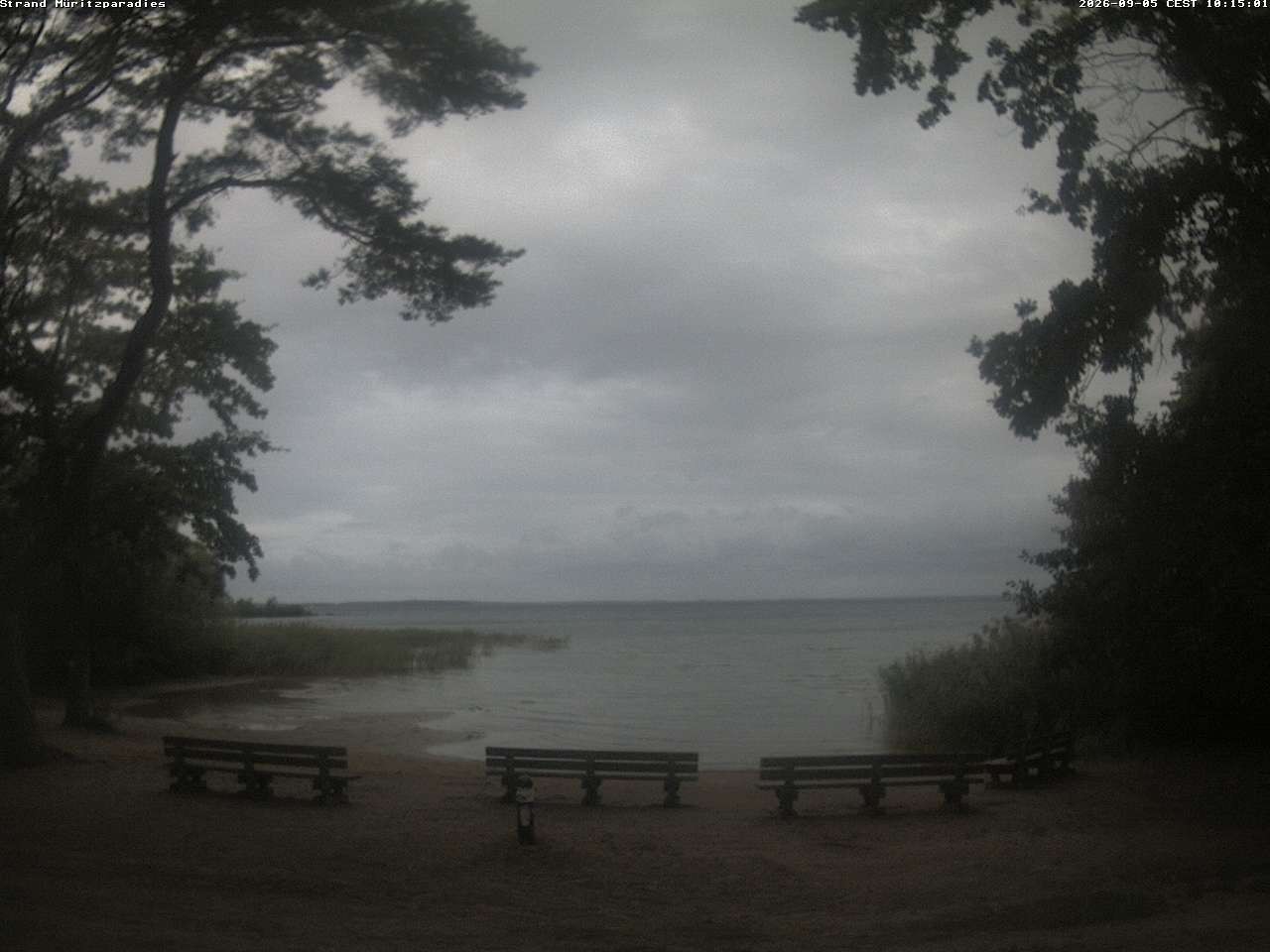 Archiv Foto Webcam Boek an der Müritz - Ostufer