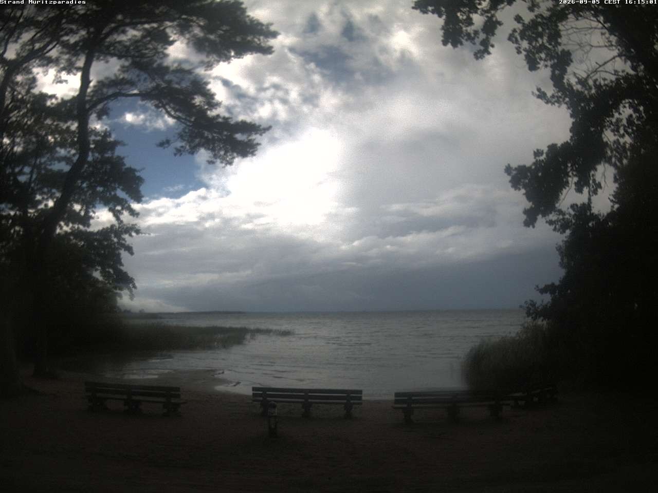 Archiv Foto Webcam Boek an der Müritz - Ostufer