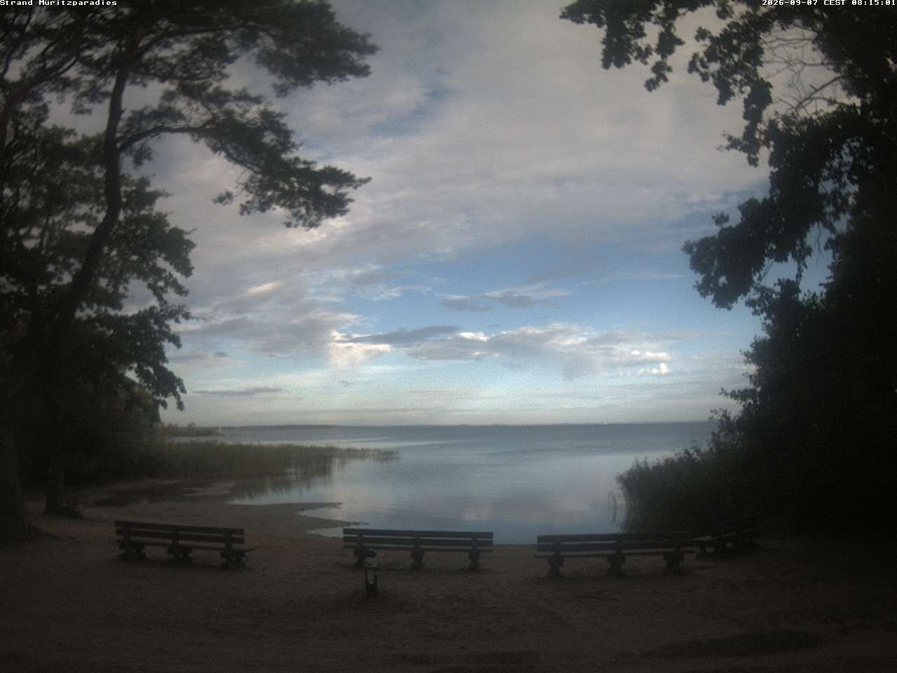 Archiv Foto Webcam Boek an der Müritz - Ostufer