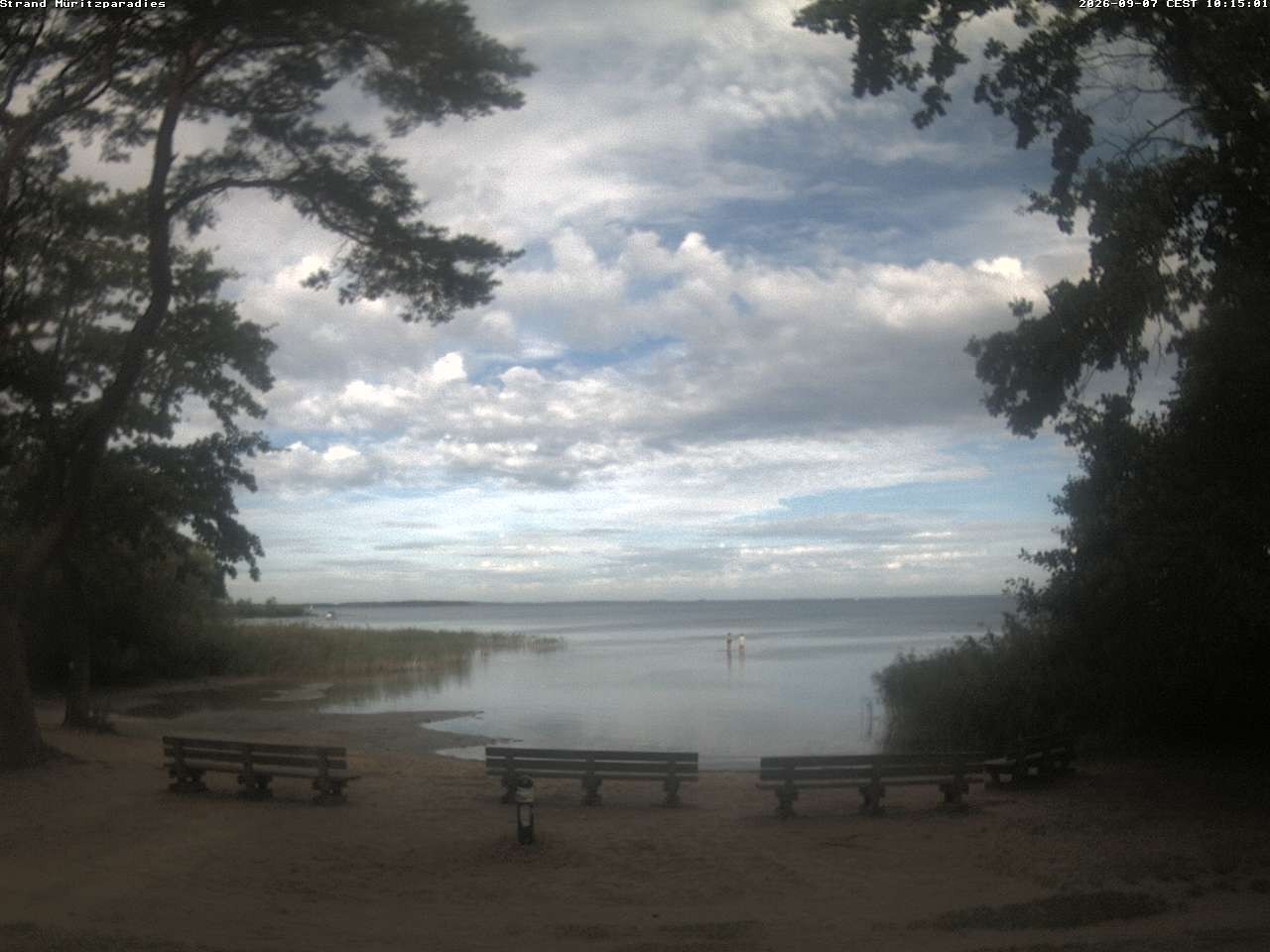 Archiv Foto Webcam Boek an der Müritz - Ostufer