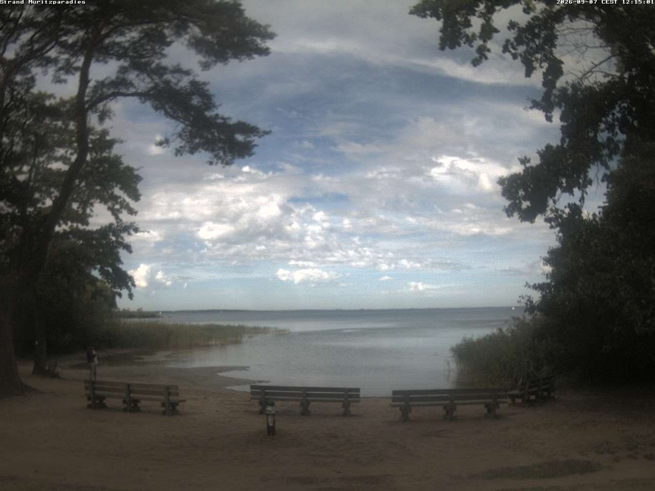 Archiv Foto Webcam Boek an der Müritz - Ostufer