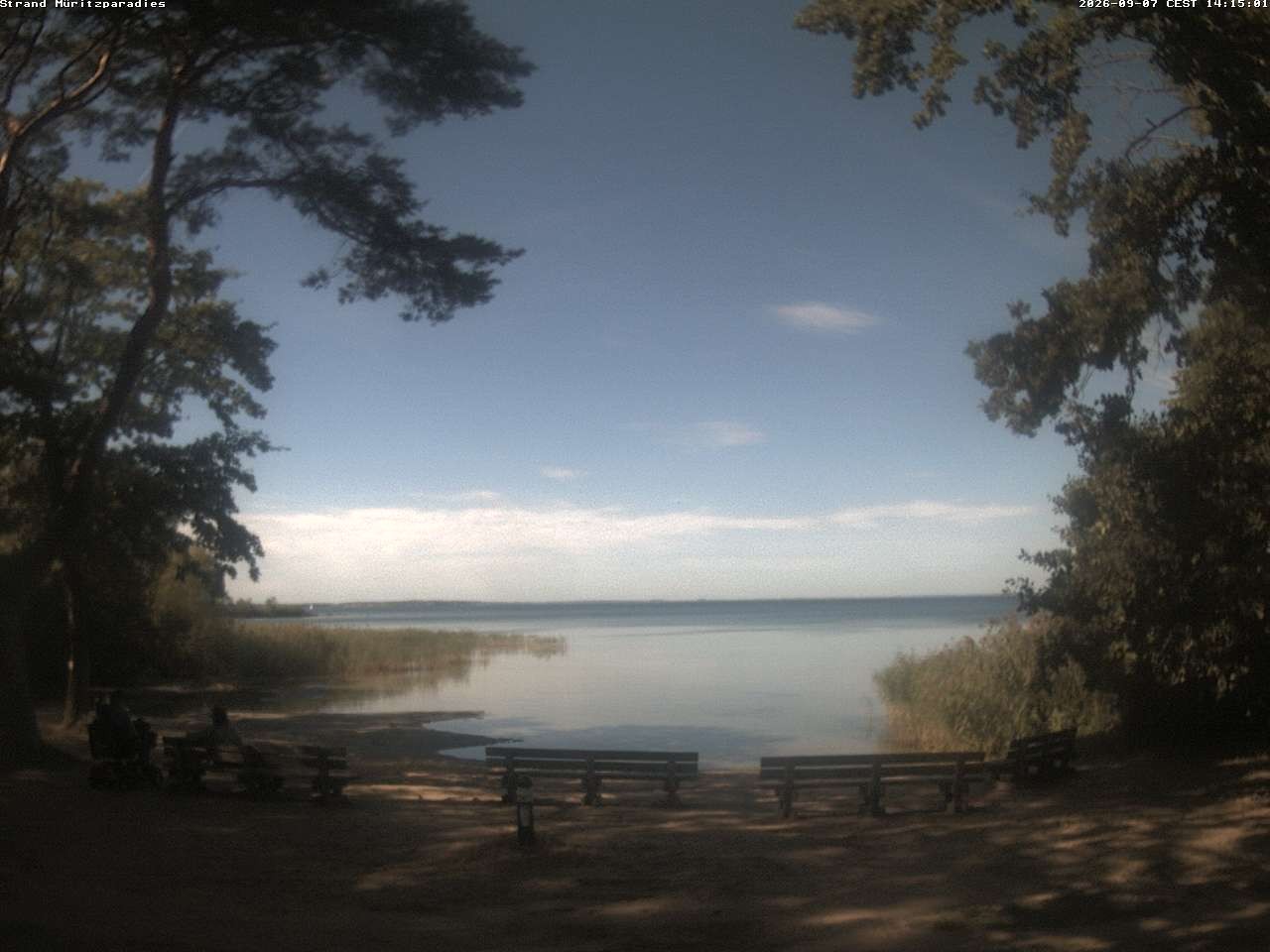 Archiv Foto Webcam Boek an der Müritz - Ostufer