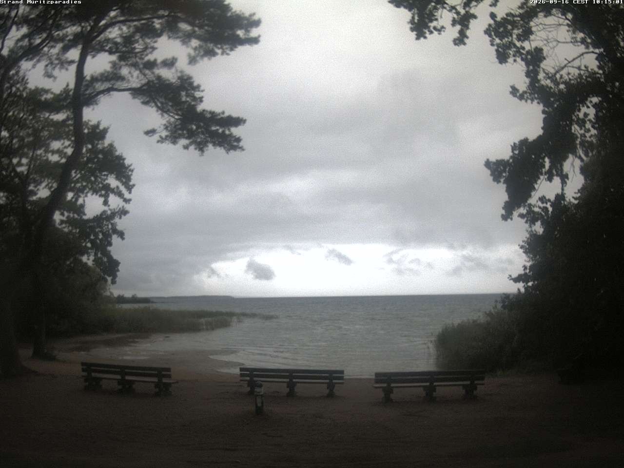 Archiv Foto Webcam Boek an der Müritz - Ostufer