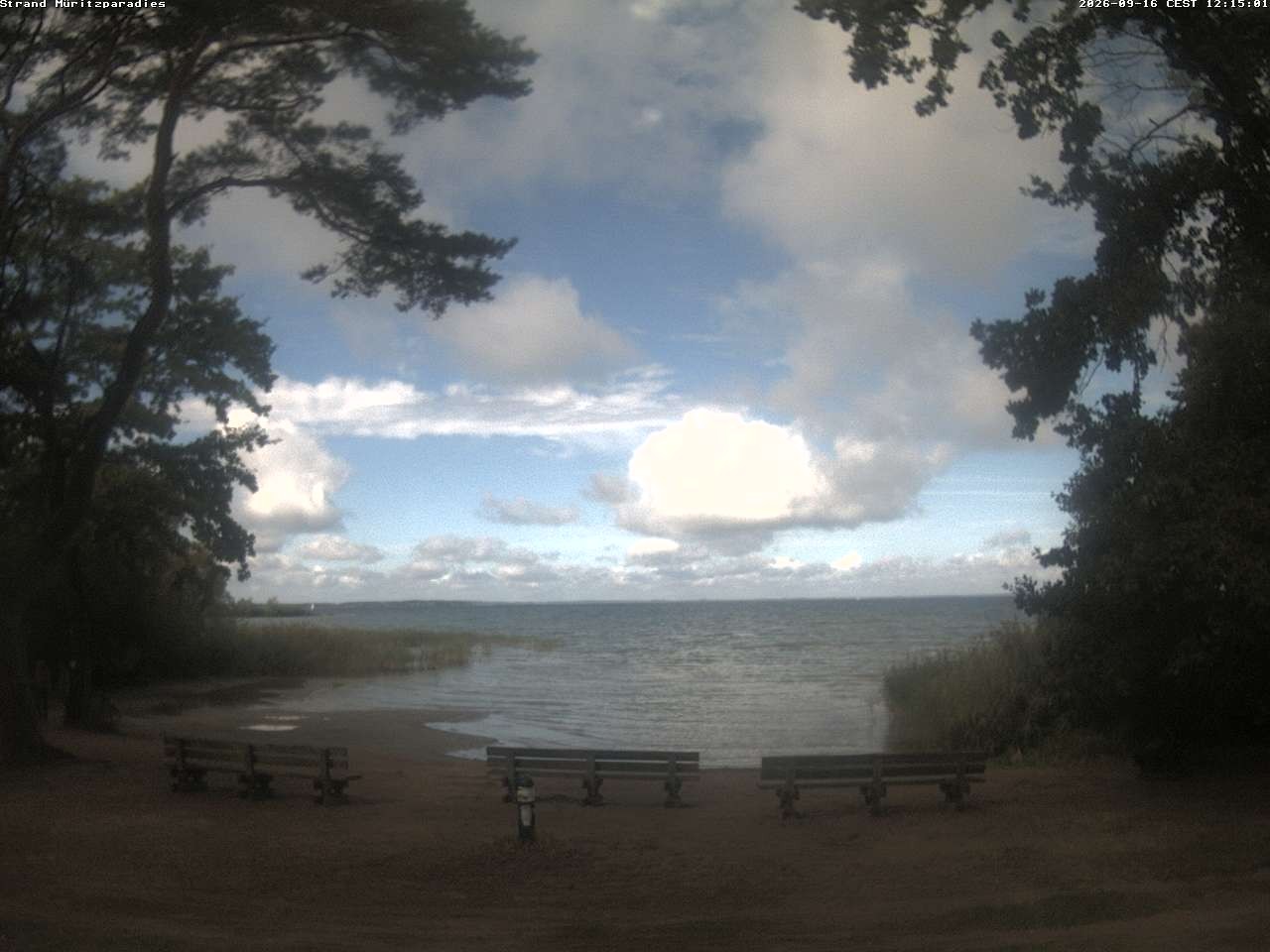 Archiv Foto Webcam Boek an der Müritz - Ostufer