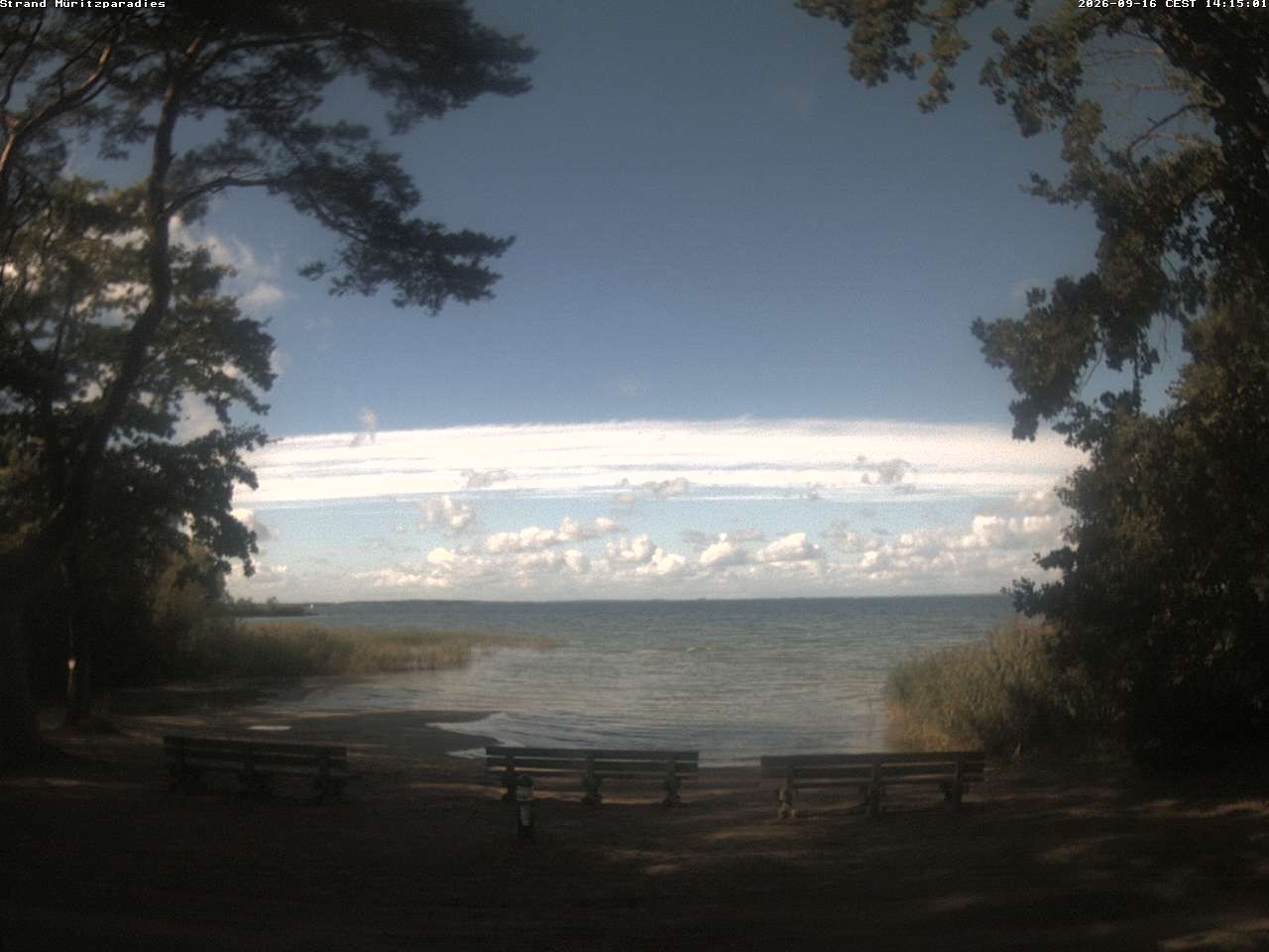 Archiv Foto Webcam Boek an der Müritz - Ostufer