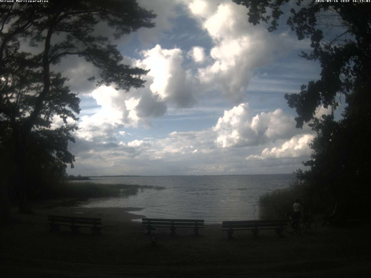 Archiv Foto Webcam Boek an der Müritz - Ostufer