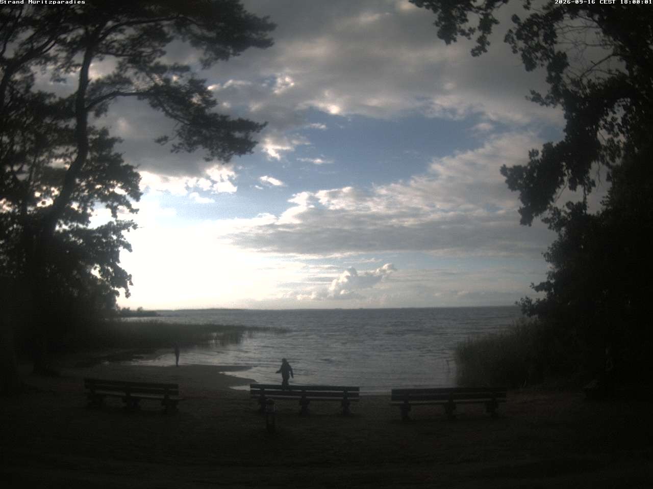 Archiv Foto Webcam Boek an der Müritz - Ostufer