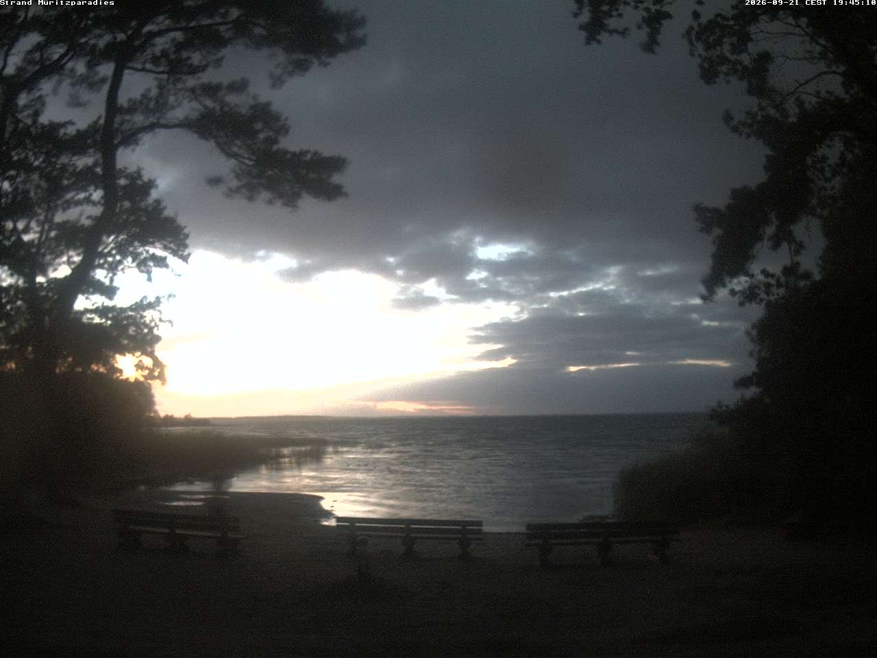 Archiv Foto Webcam Boek an der Müritz - Ostufer
