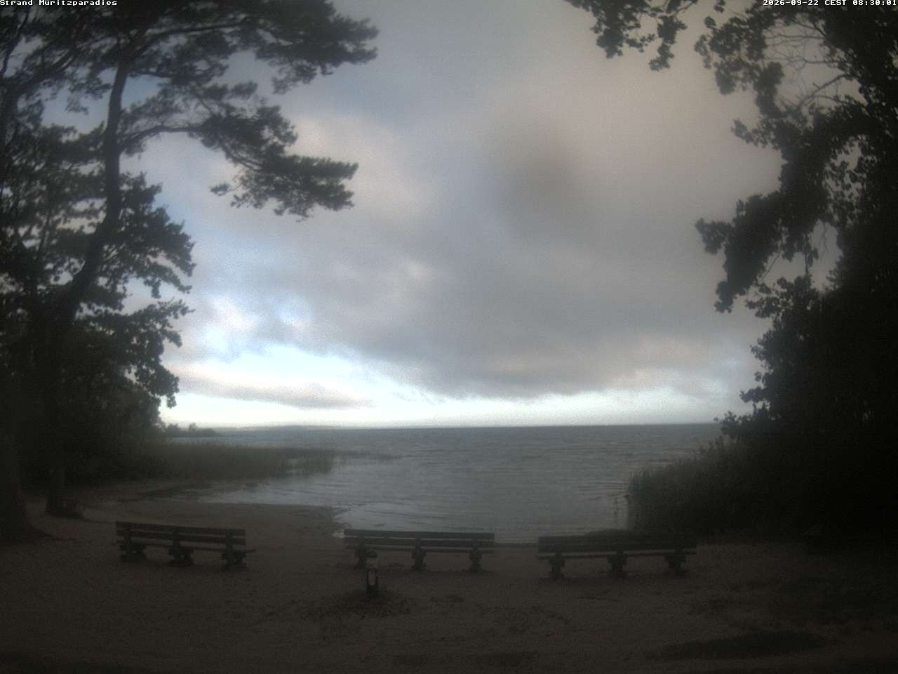 Archiv Foto Webcam Boek an der Müritz - Ostufer
