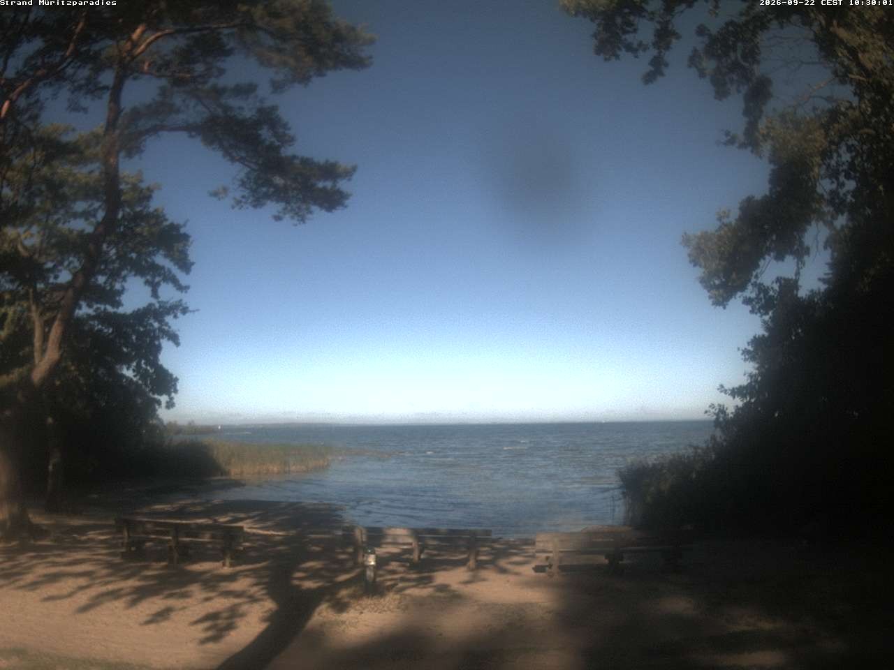 Archiv Foto Webcam Boek an der Müritz - Ostufer