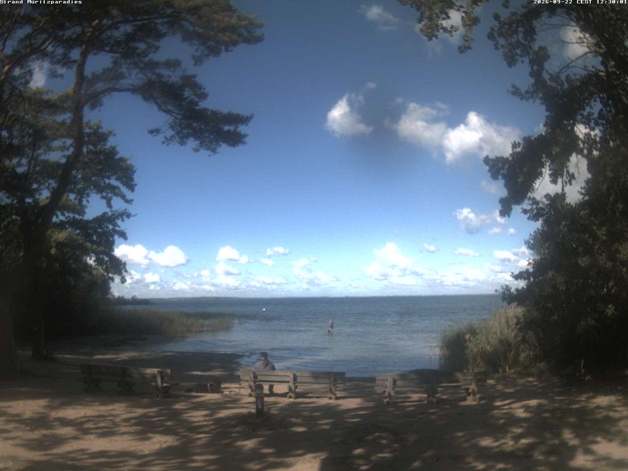 Archiv Foto Webcam Boek an der Müritz - Ostufer