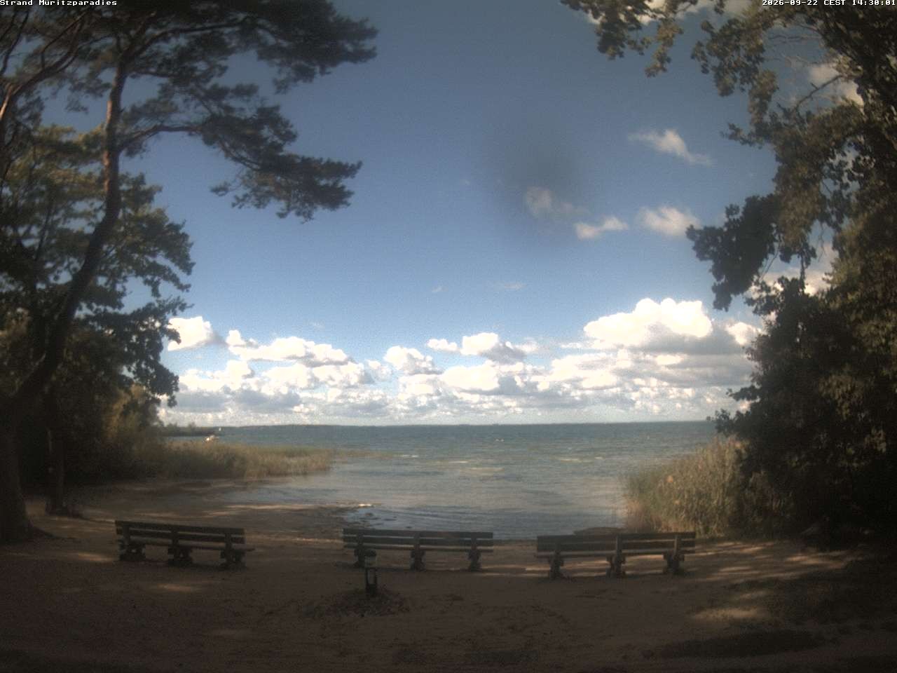 Archiv Foto Webcam Boek an der Müritz - Ostufer