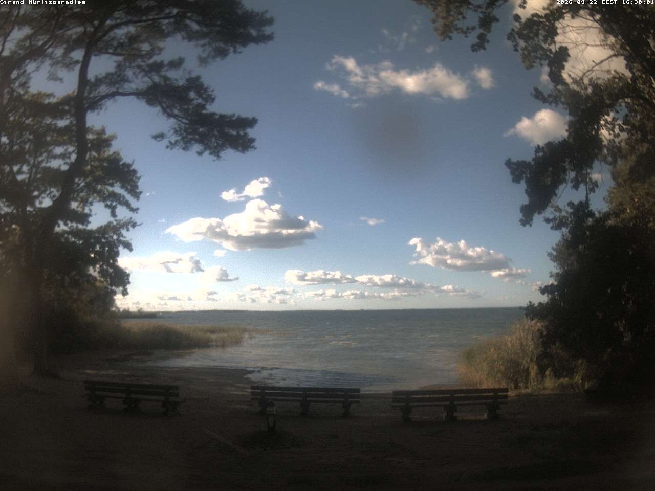 Archiv Foto Webcam Boek an der Müritz - Ostufer