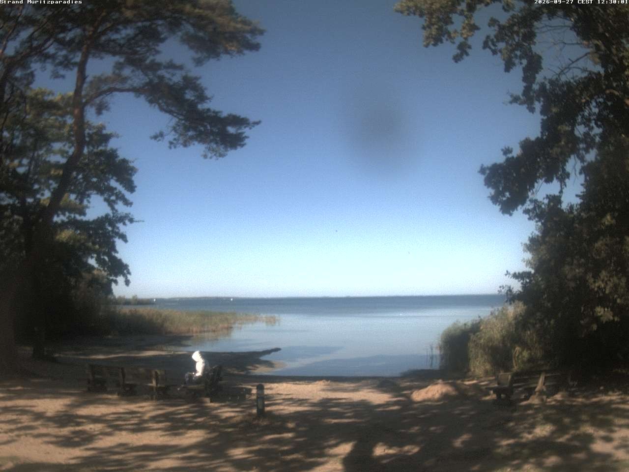 Archiv Foto Webcam Boek an der Müritz - Ostufer