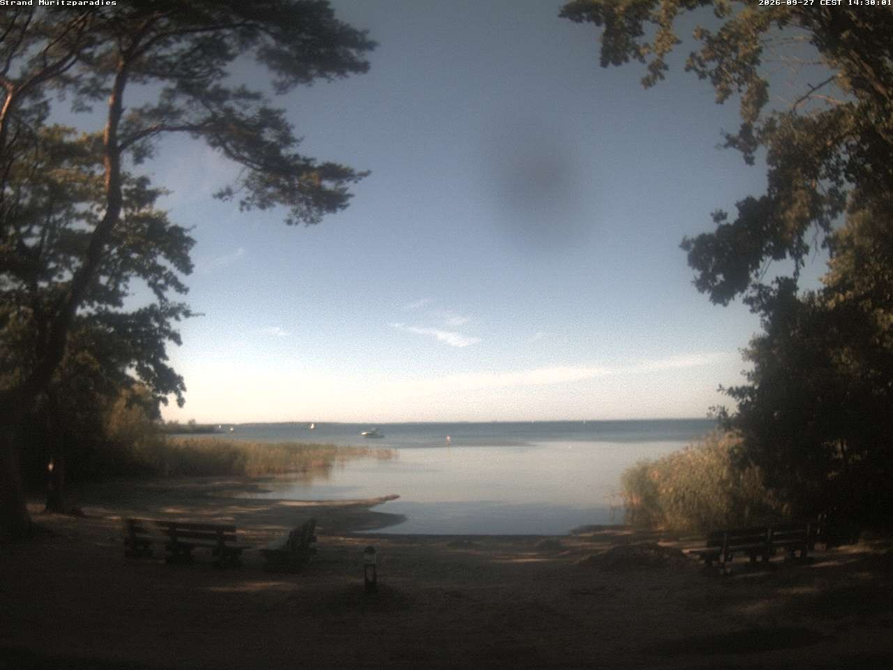 Archiv Foto Webcam Boek an der Müritz - Ostufer