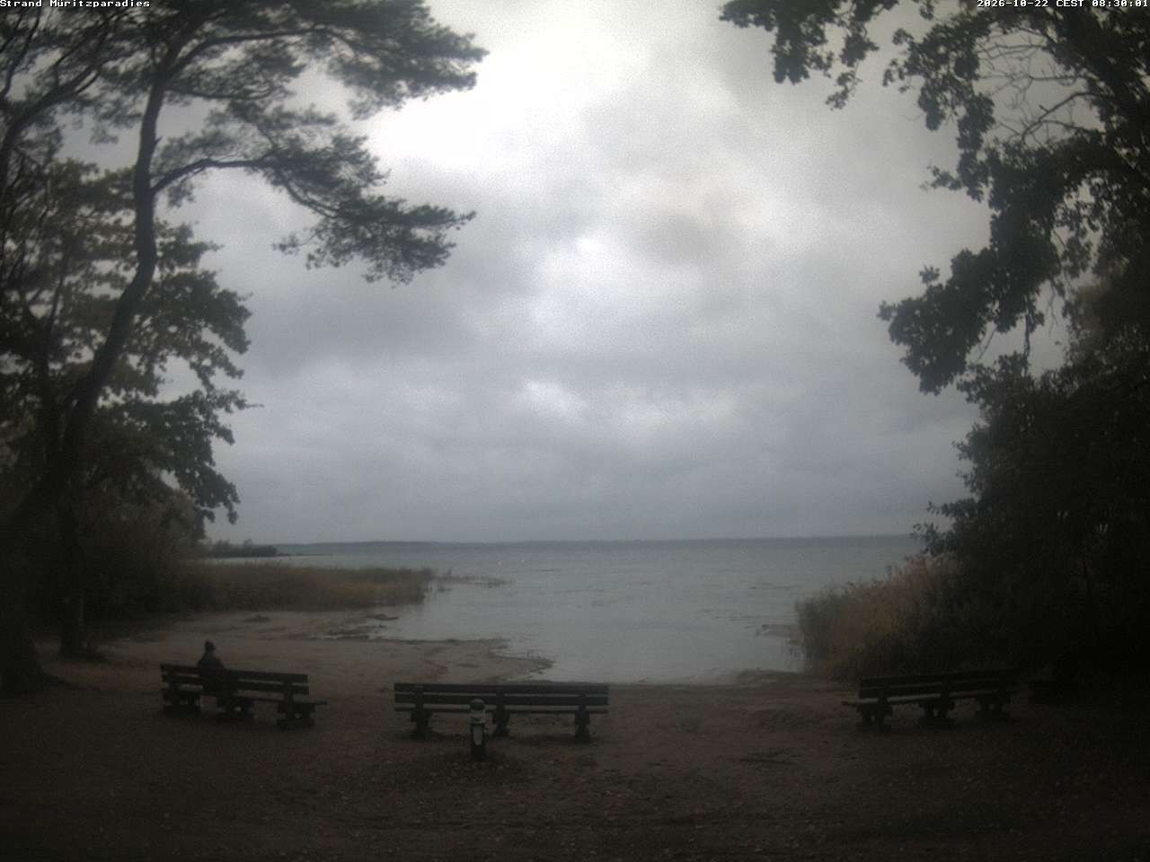 Archived image Webcam Boek (Müritz)
