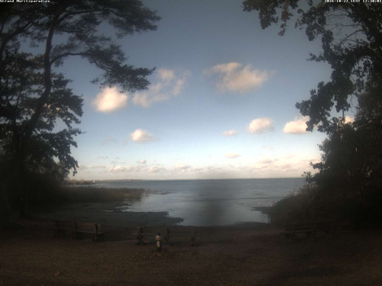 Archived image Webcam Boek (Müritz)