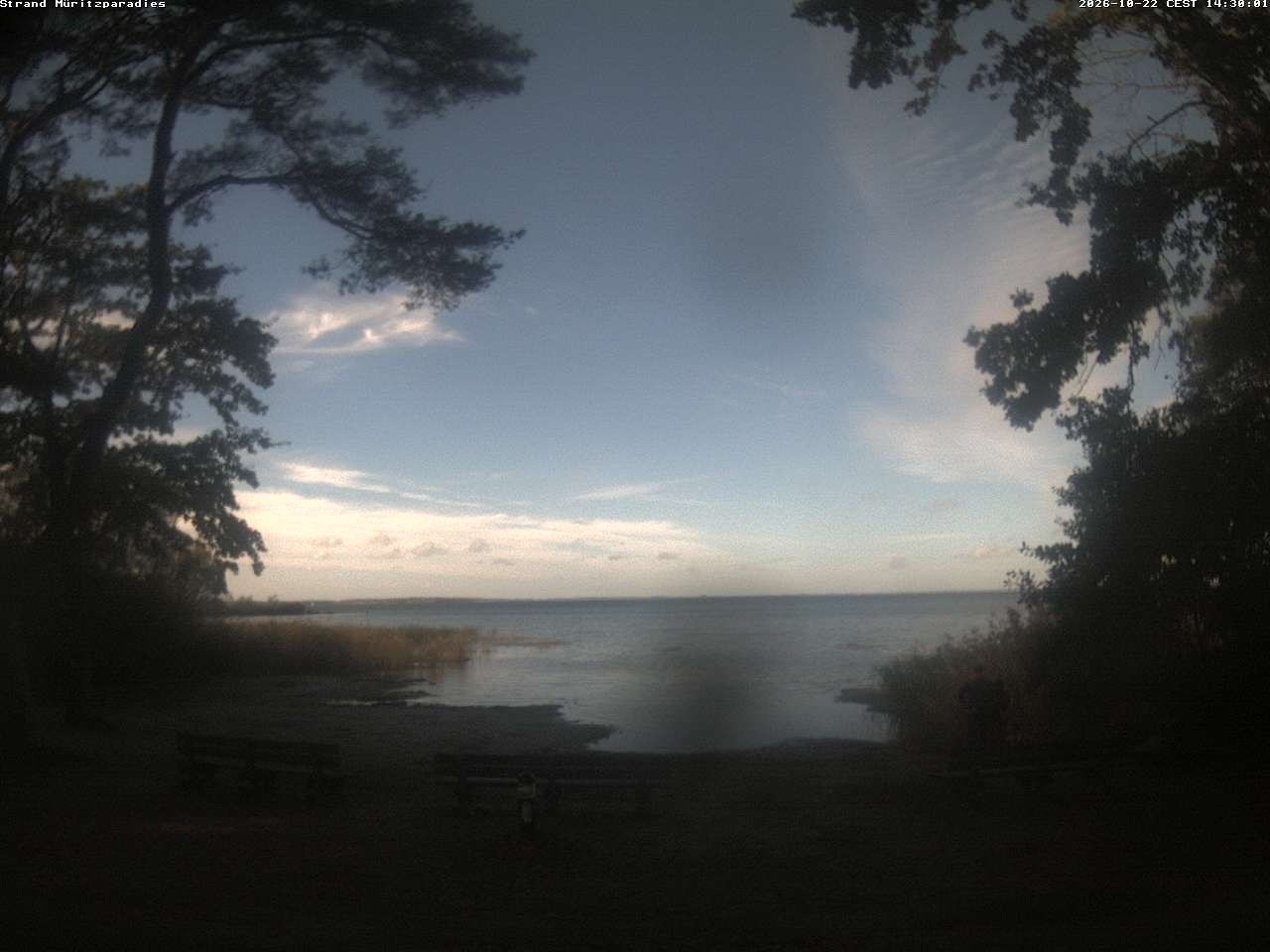 Archived image Webcam Boek (Müritz)
