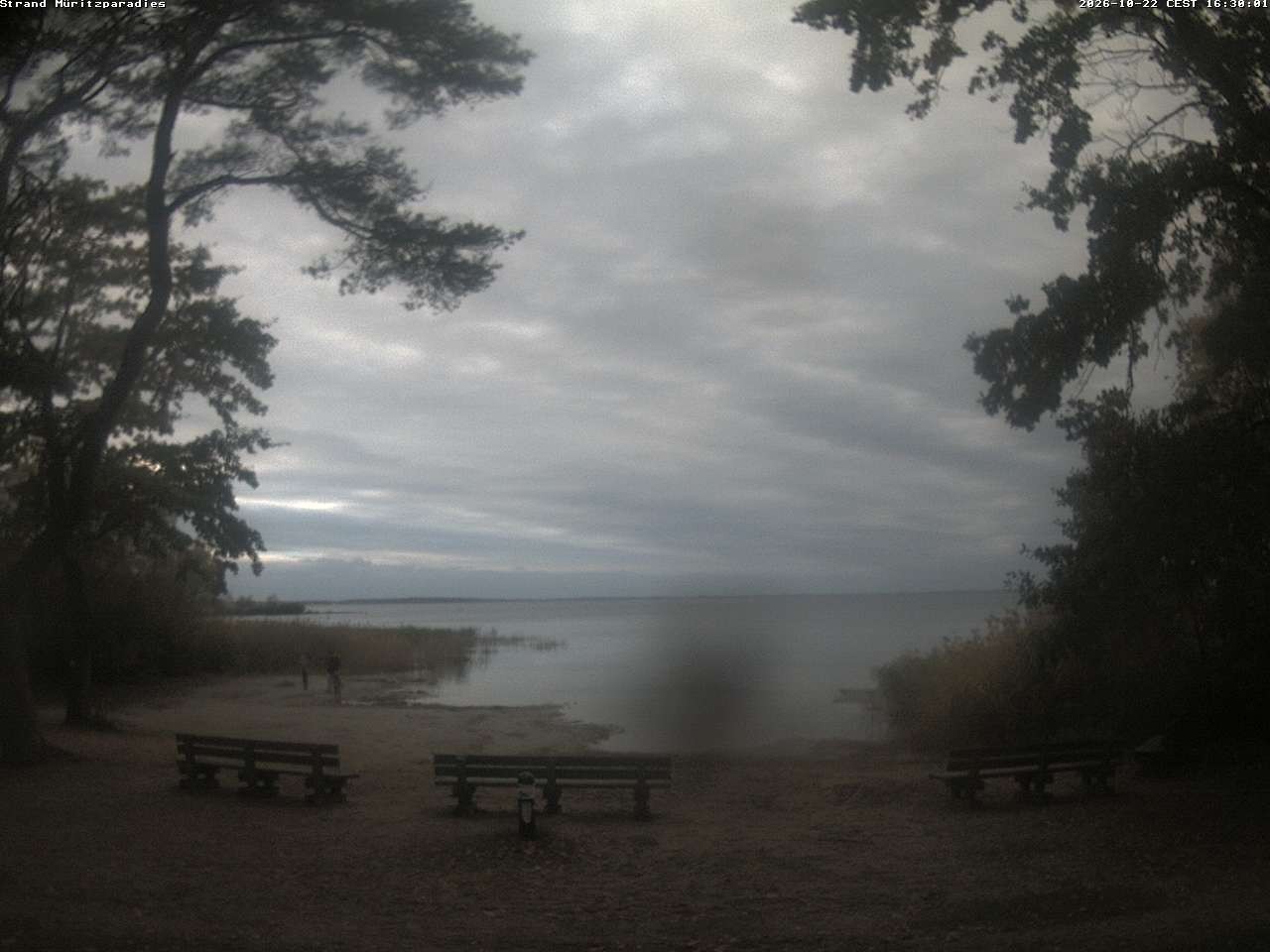 Archived image Webcam Boek (Müritz)