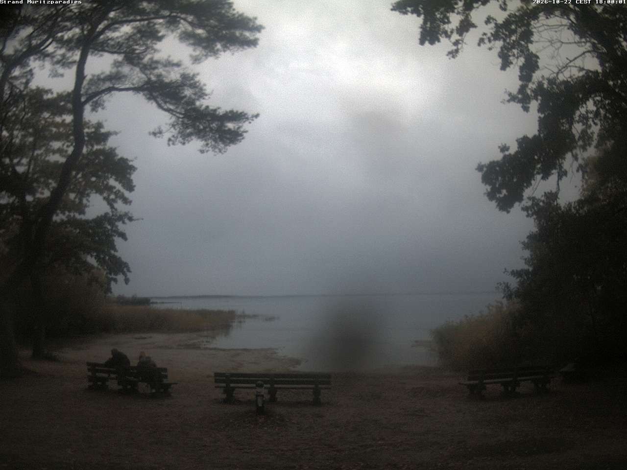 Archived image Webcam Boek (Müritz)