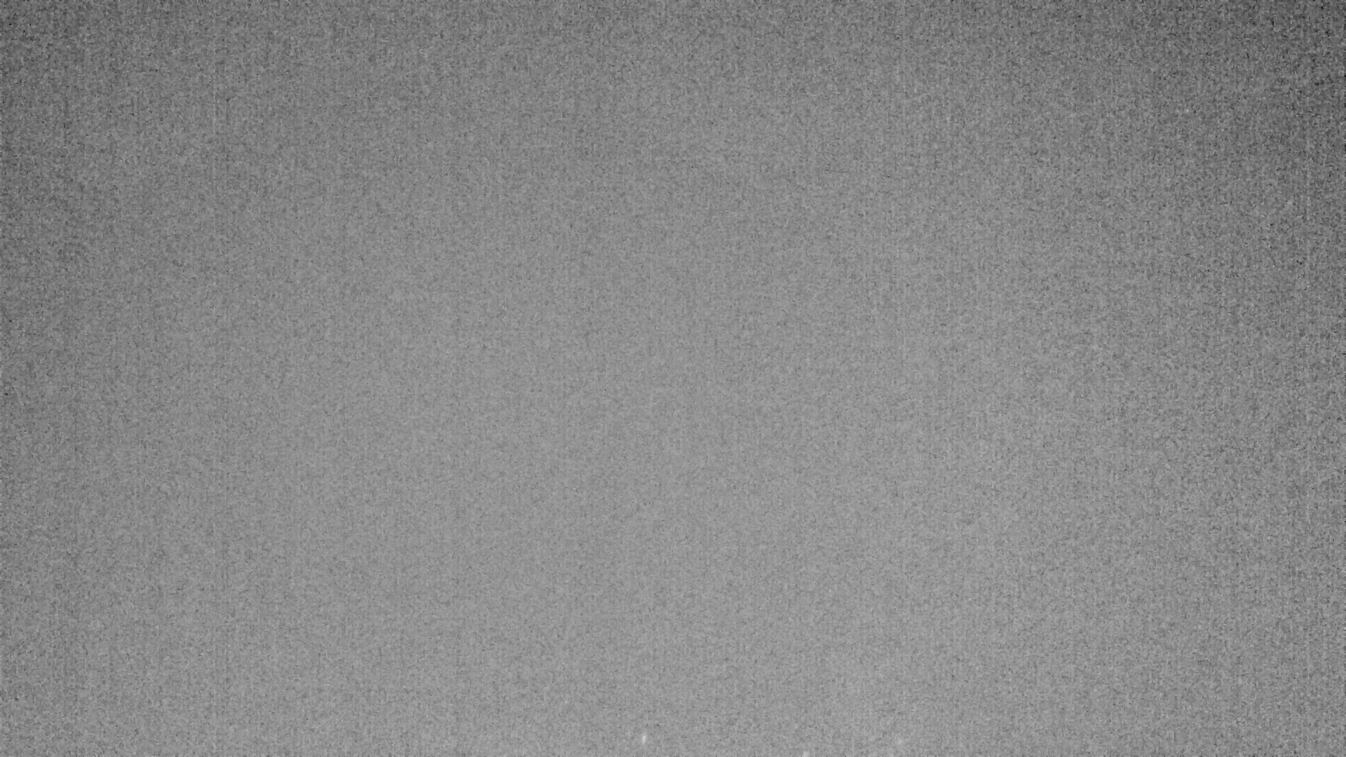 Archiv Foto Webcam Plansee Seespitze