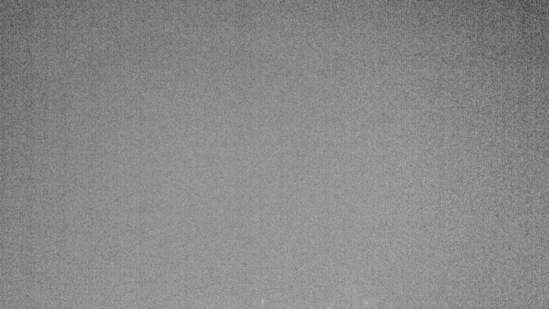 Archiv Foto Webcam Plansee Seespitze