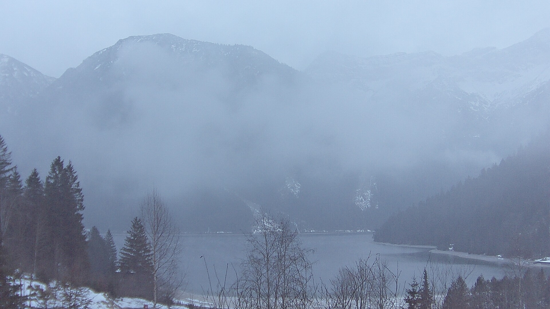 Archiv Foto Webcam Plansee Seespitze