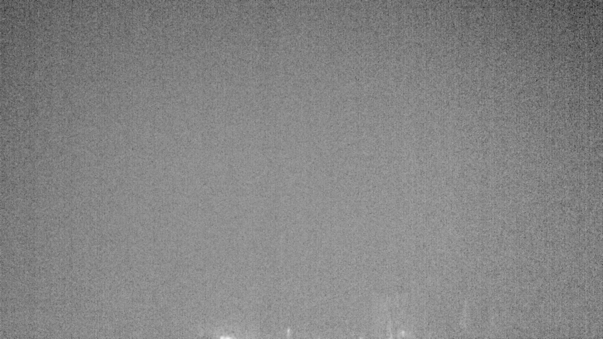 Archiv Foto Webcam Plansee Seespitze