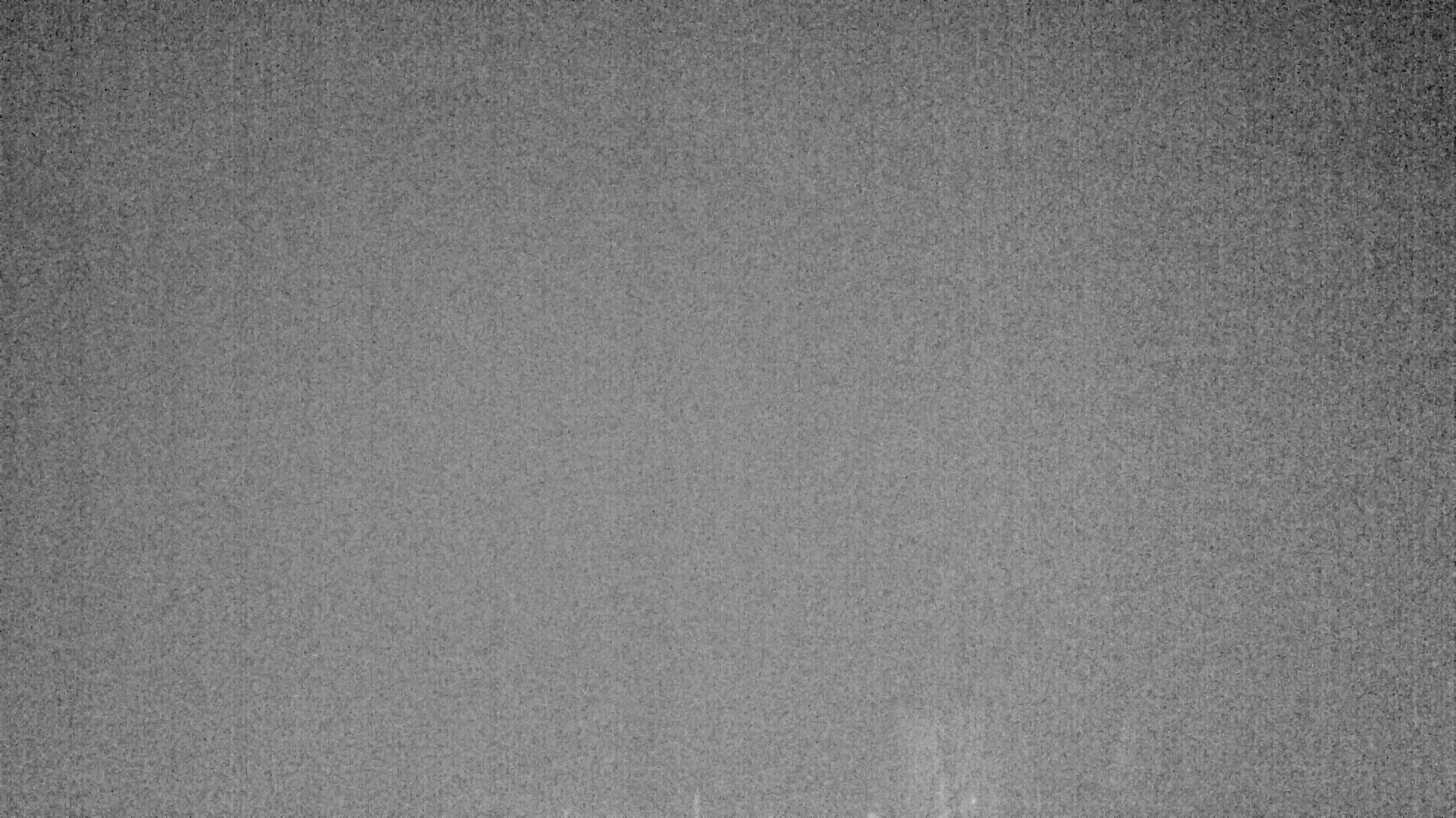 Archiv Foto Webcam Plansee Seespitze