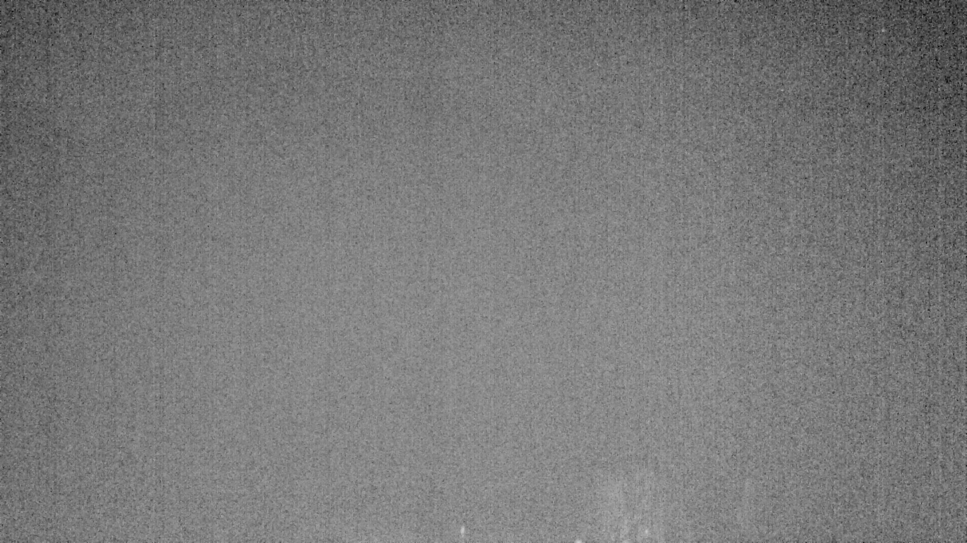 Archiv Foto Webcam Plansee Seespitze