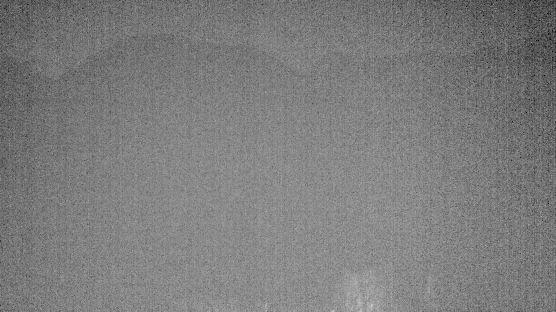 Archiv Foto Webcam Plansee Seespitze