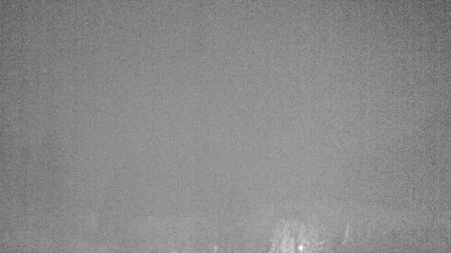 Archived image Webcam Plansee, Reutte