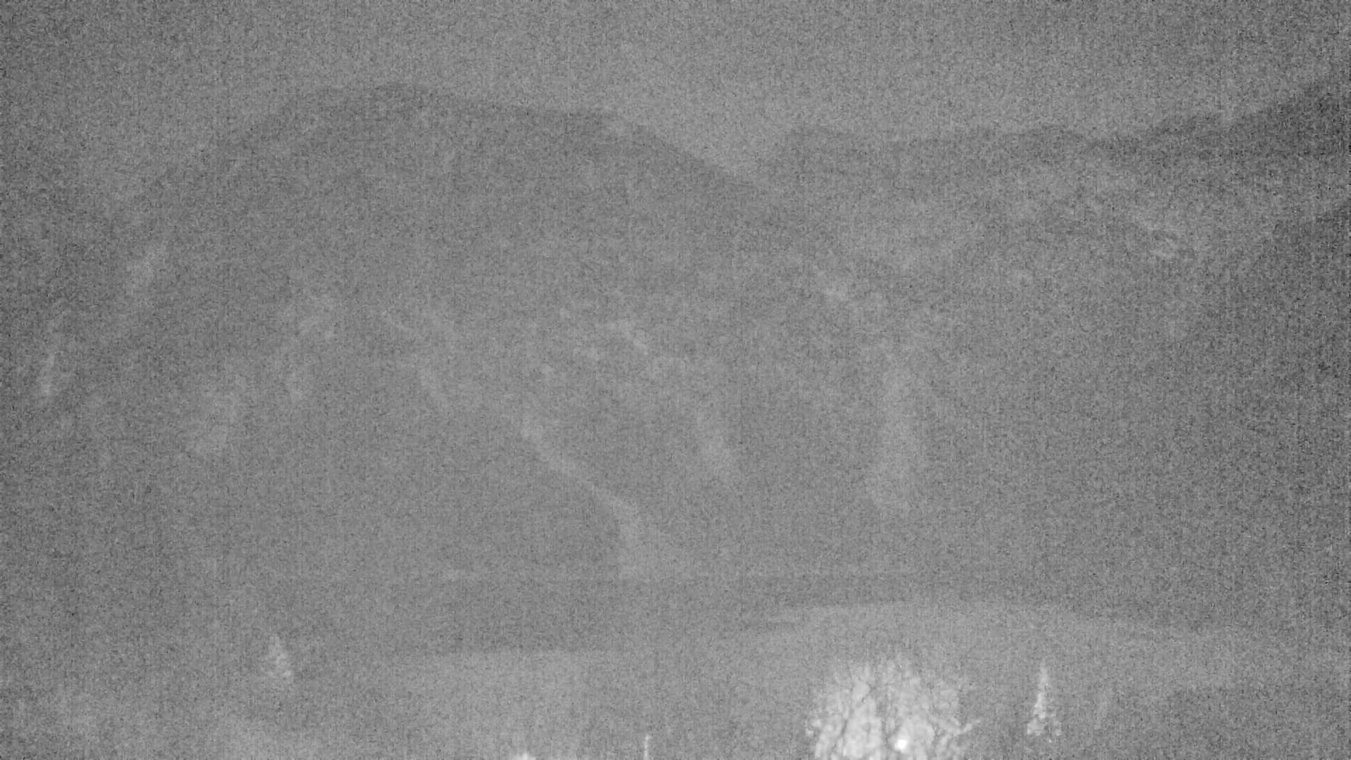 Archived image Webcam Plansee, Reutte