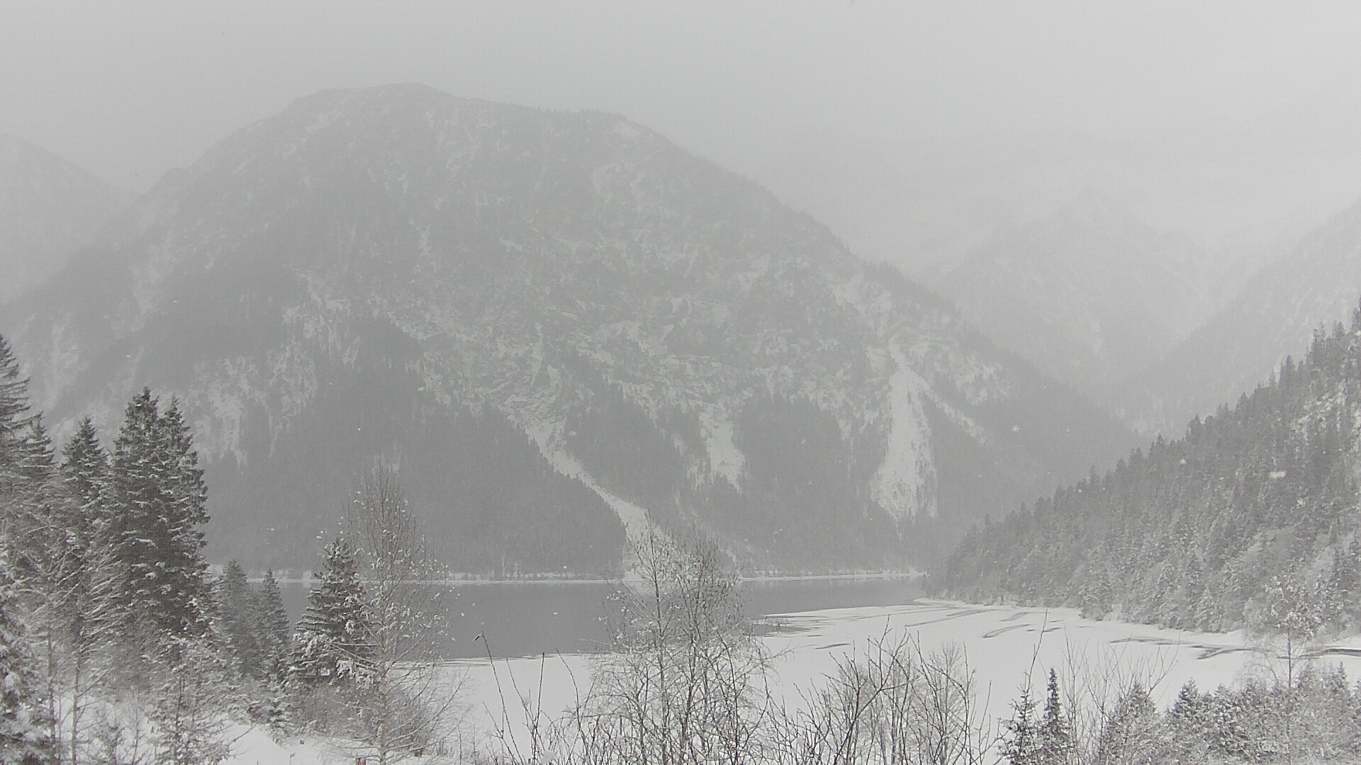 Archiv Foto Webcam Plansee Seespitze