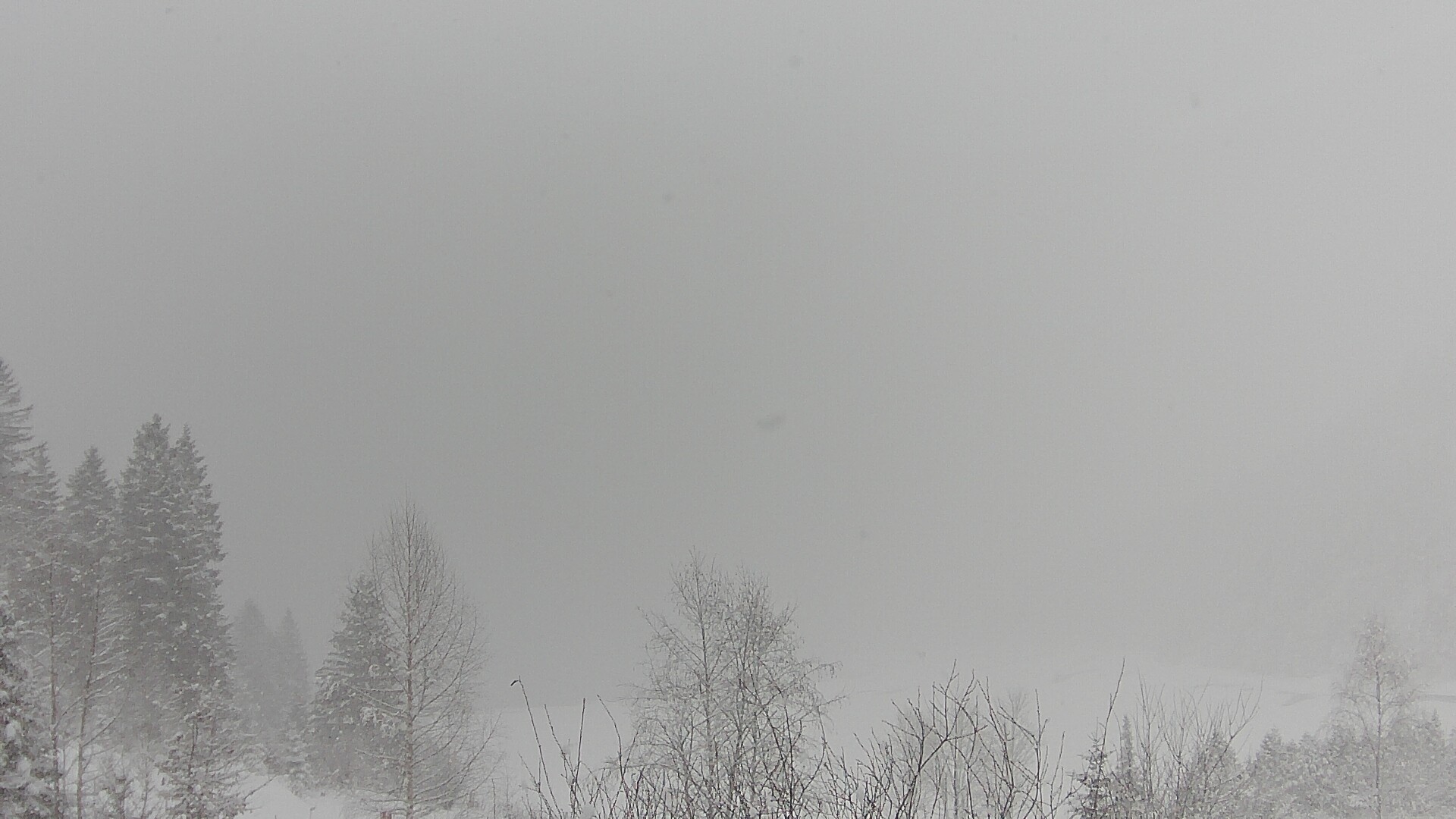 Archiv Foto Webcam Plansee Seespitze