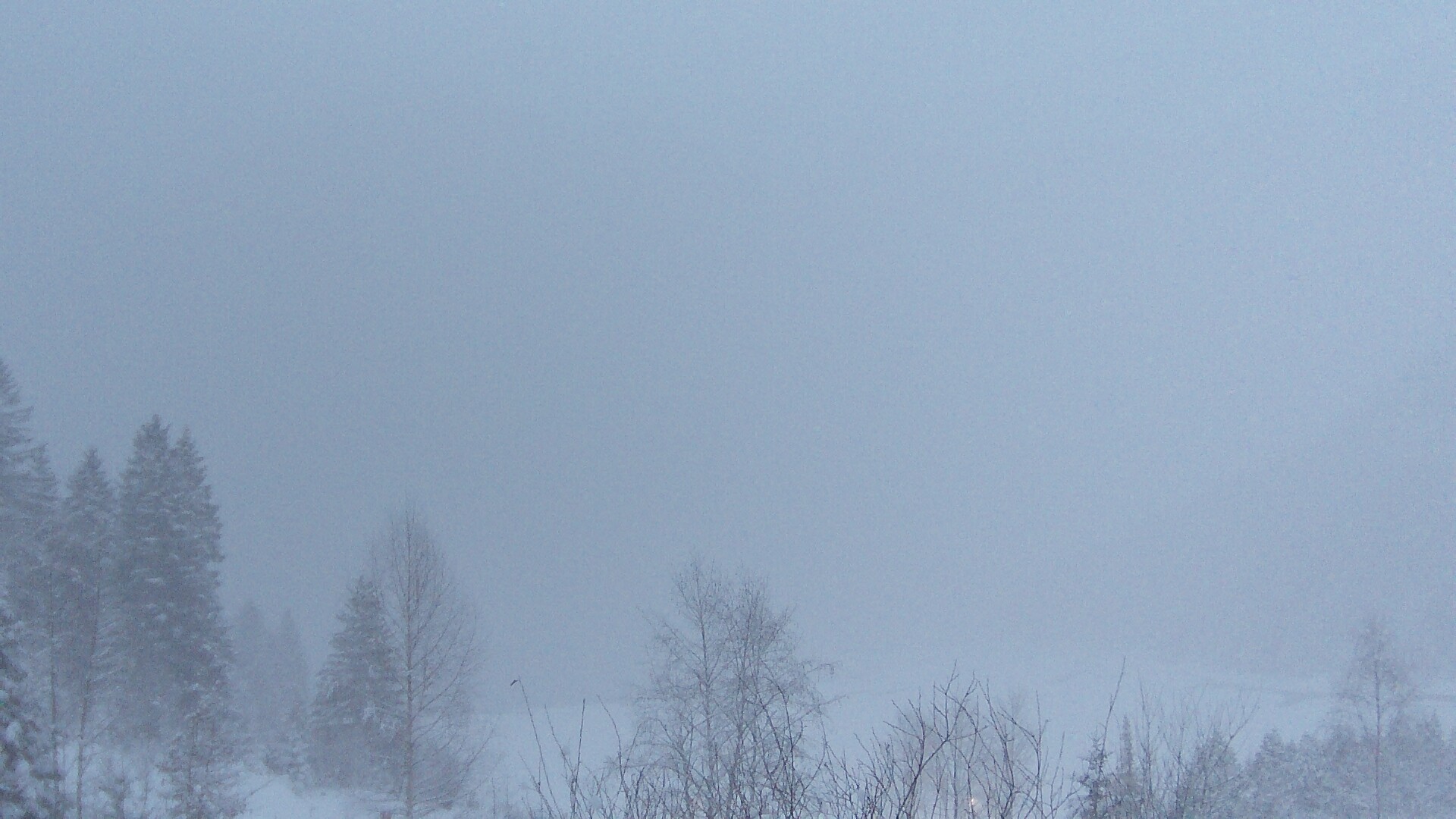 Archiv Foto Webcam Plansee Seespitze