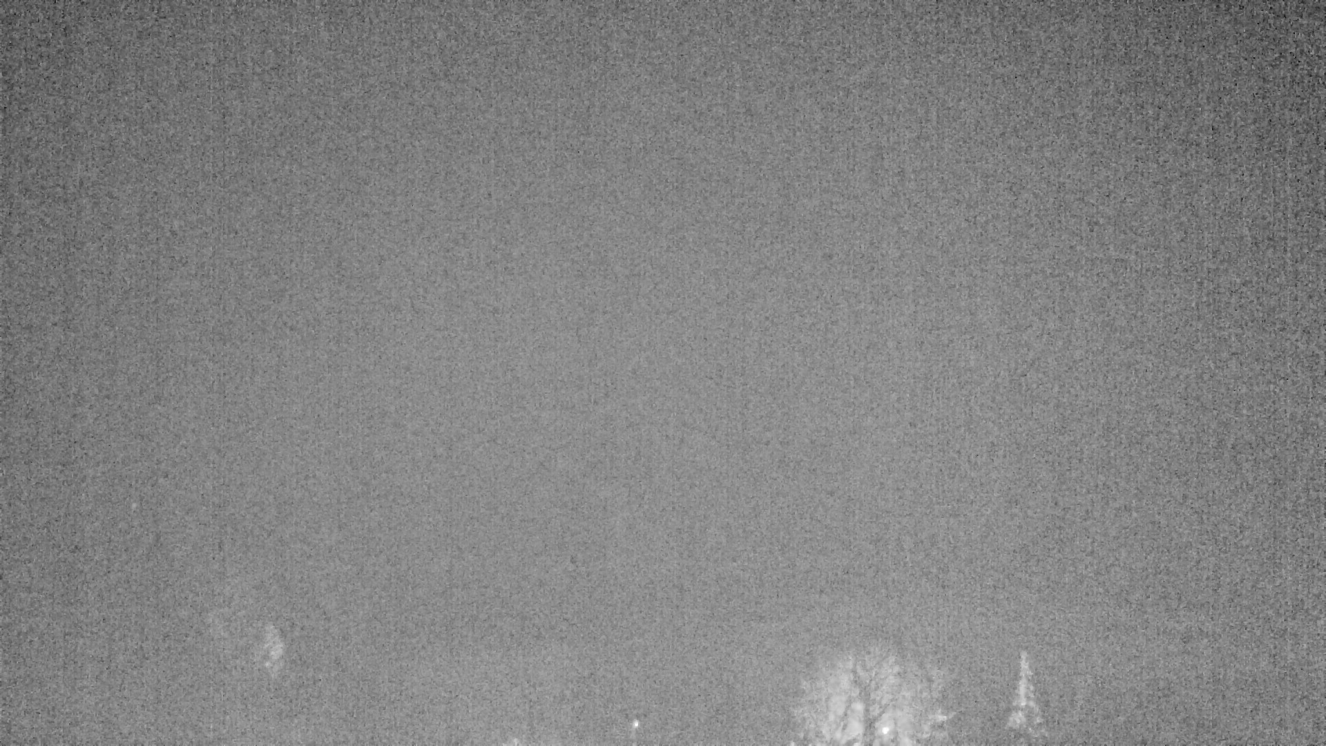 Archiv Foto Webcam Plansee Seespitze