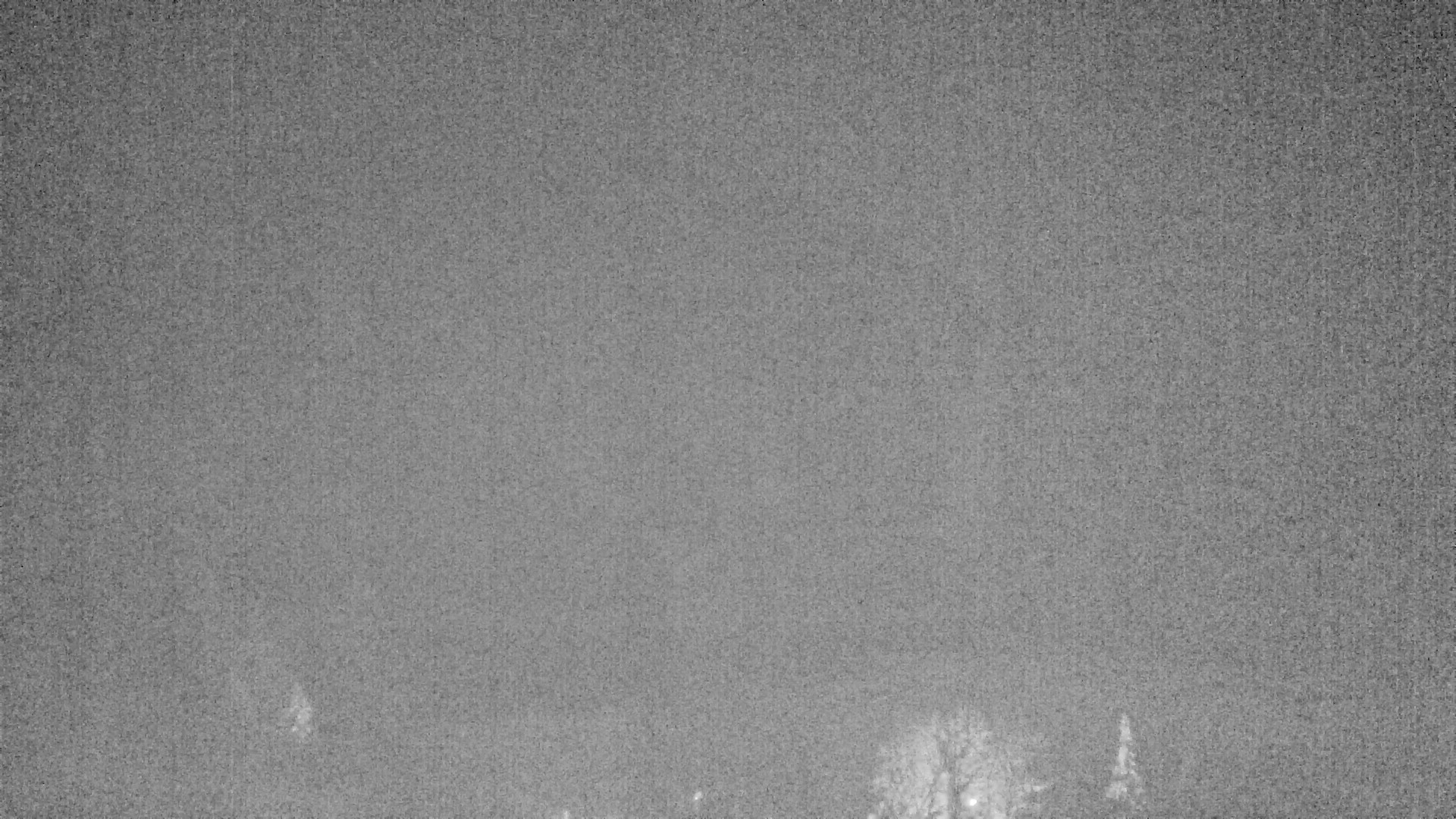 Archived image Webcam Plansee, Reutte