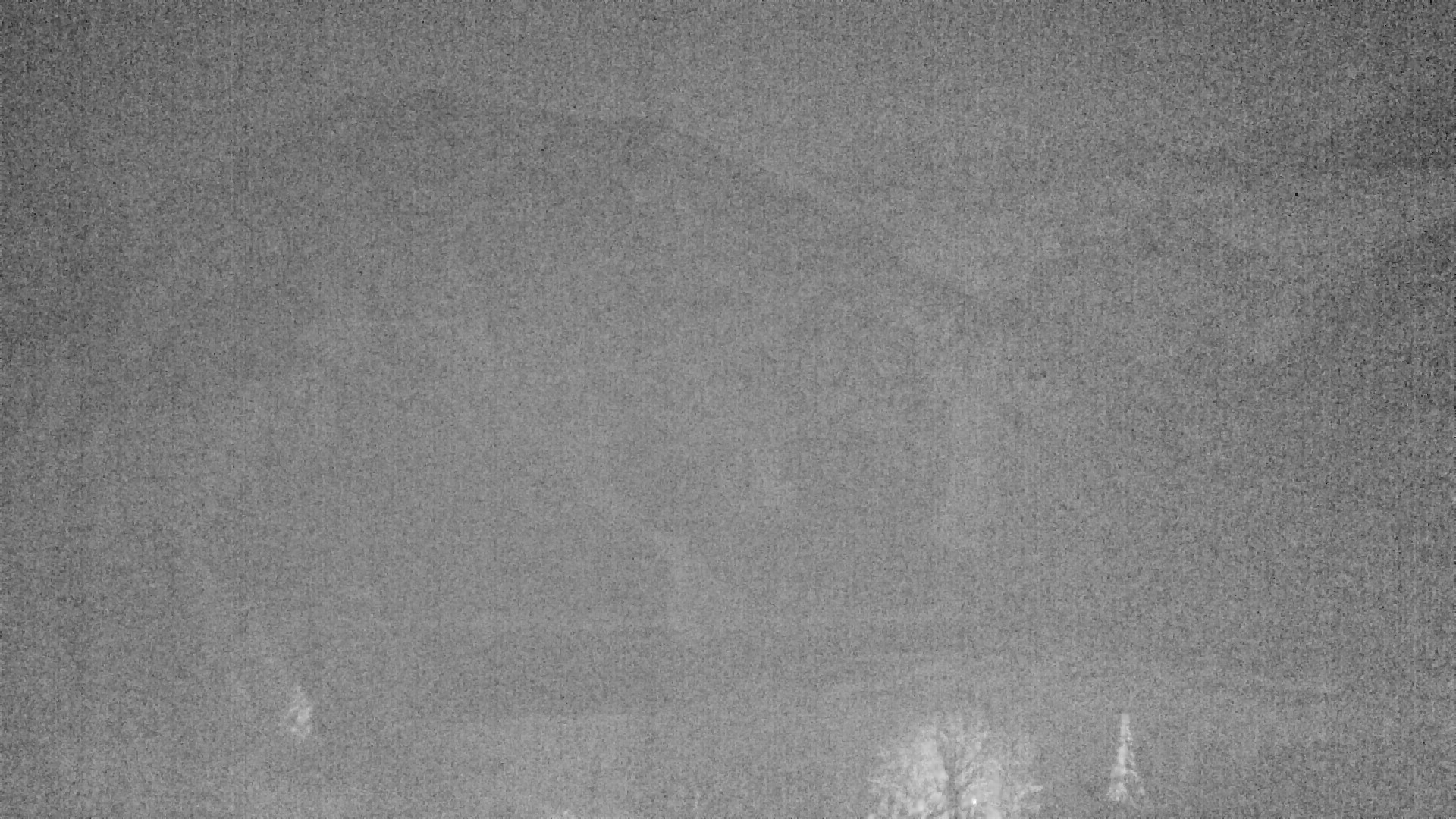 Archiv Foto Webcam Plansee Seespitze