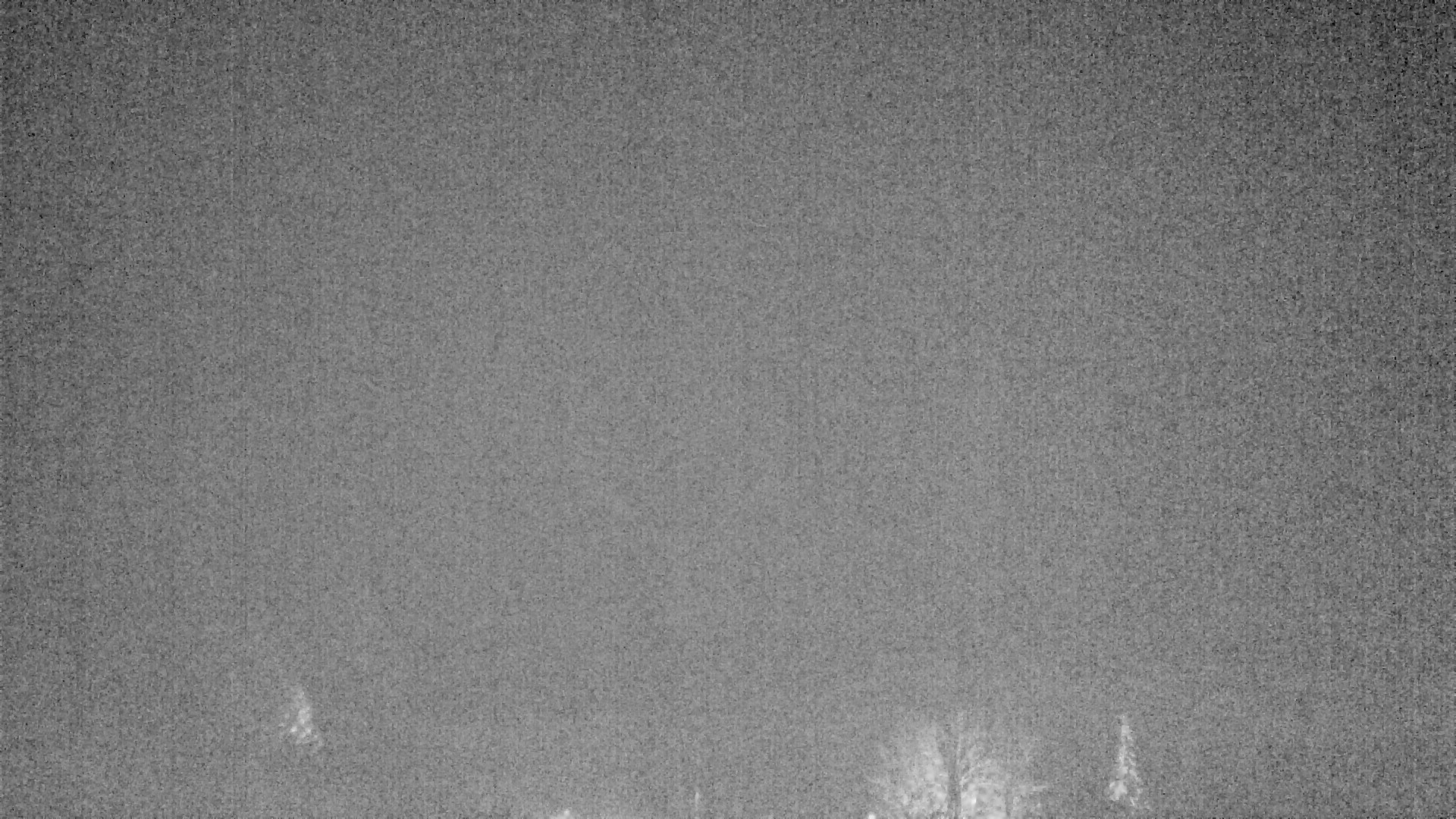 Archiv Foto Webcam Plansee Seespitze