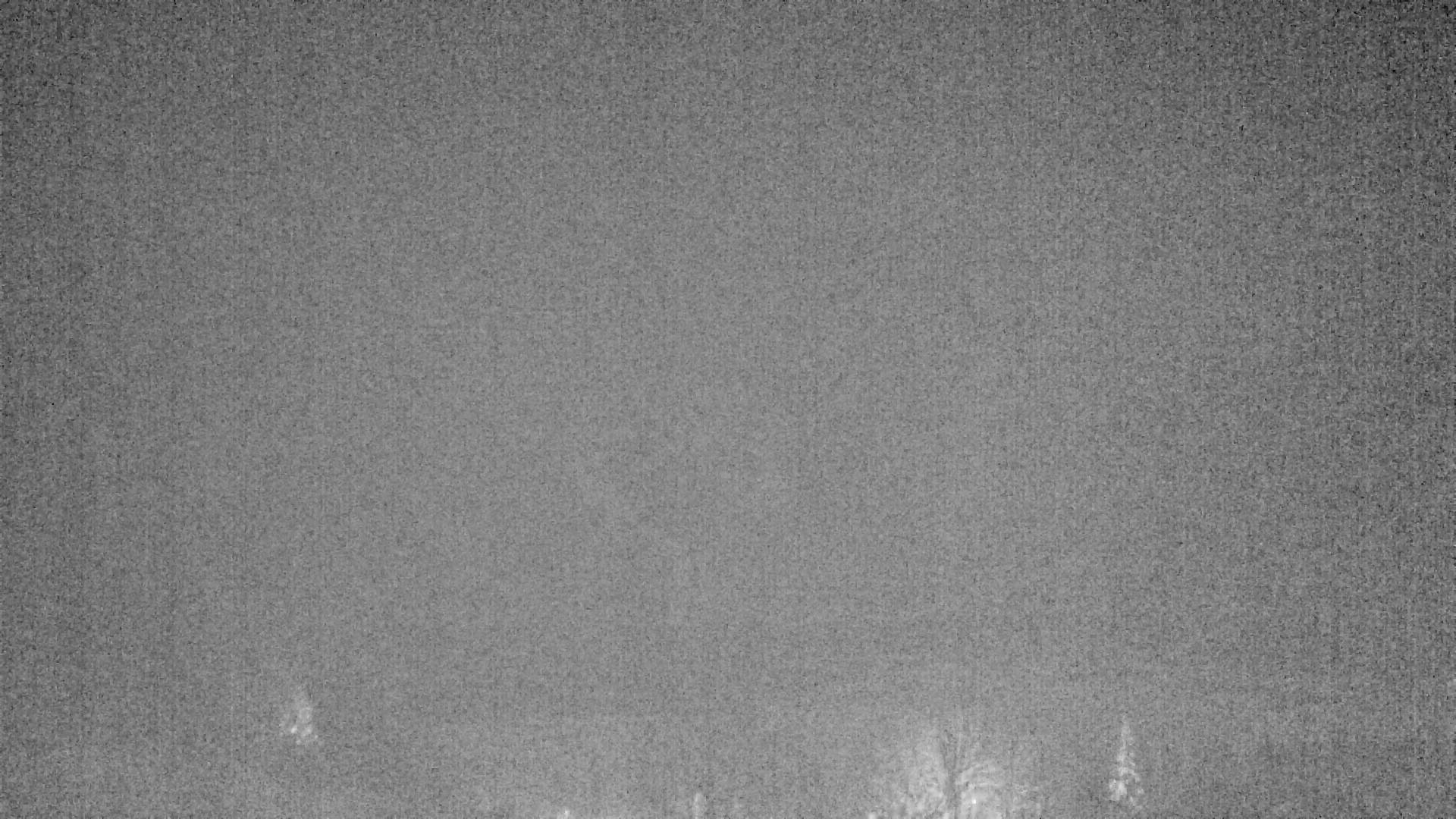 Archiv Foto Webcam Plansee Seespitze